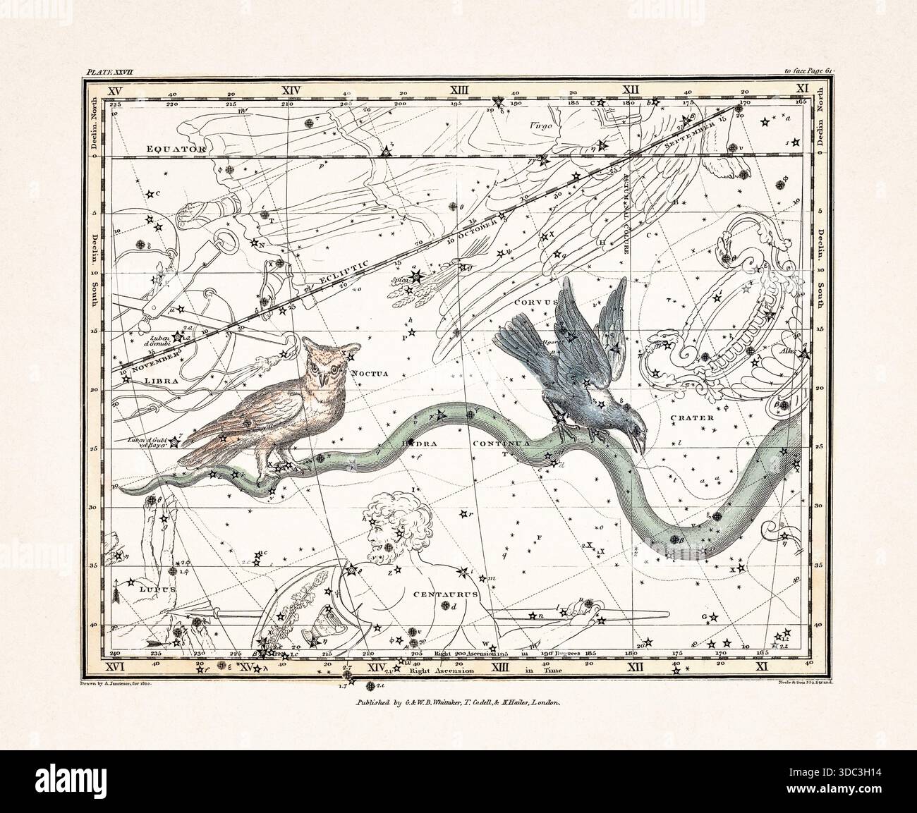 Antike Himmelskarte Illustration mit mythologischen Sternbildern und Sternkarten aus einem Astronomiebuch aus dem frühen 19. Jahrhundert, veröffentlicht in London in Stockfoto