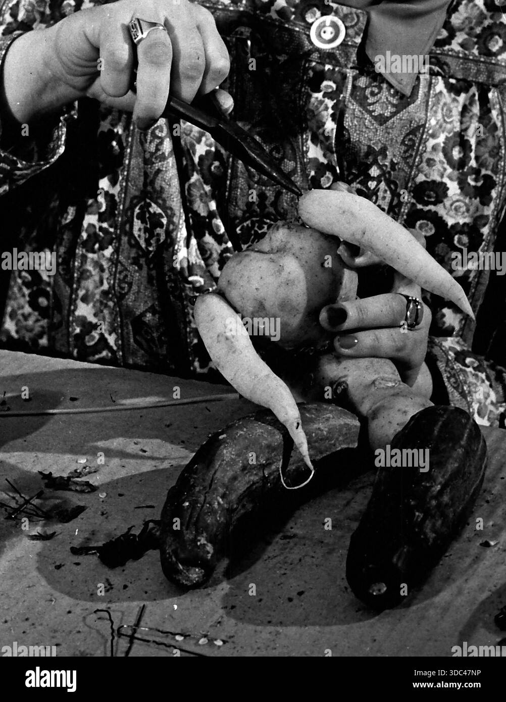 Gemüsepuppen sind künstlerische Oddity - Miss Carrie Brauer, eine begabte New Yorker Künstlerin, macht lustige Puppen aus allen Arten von Gemüse. Sie findet das Stockfoto