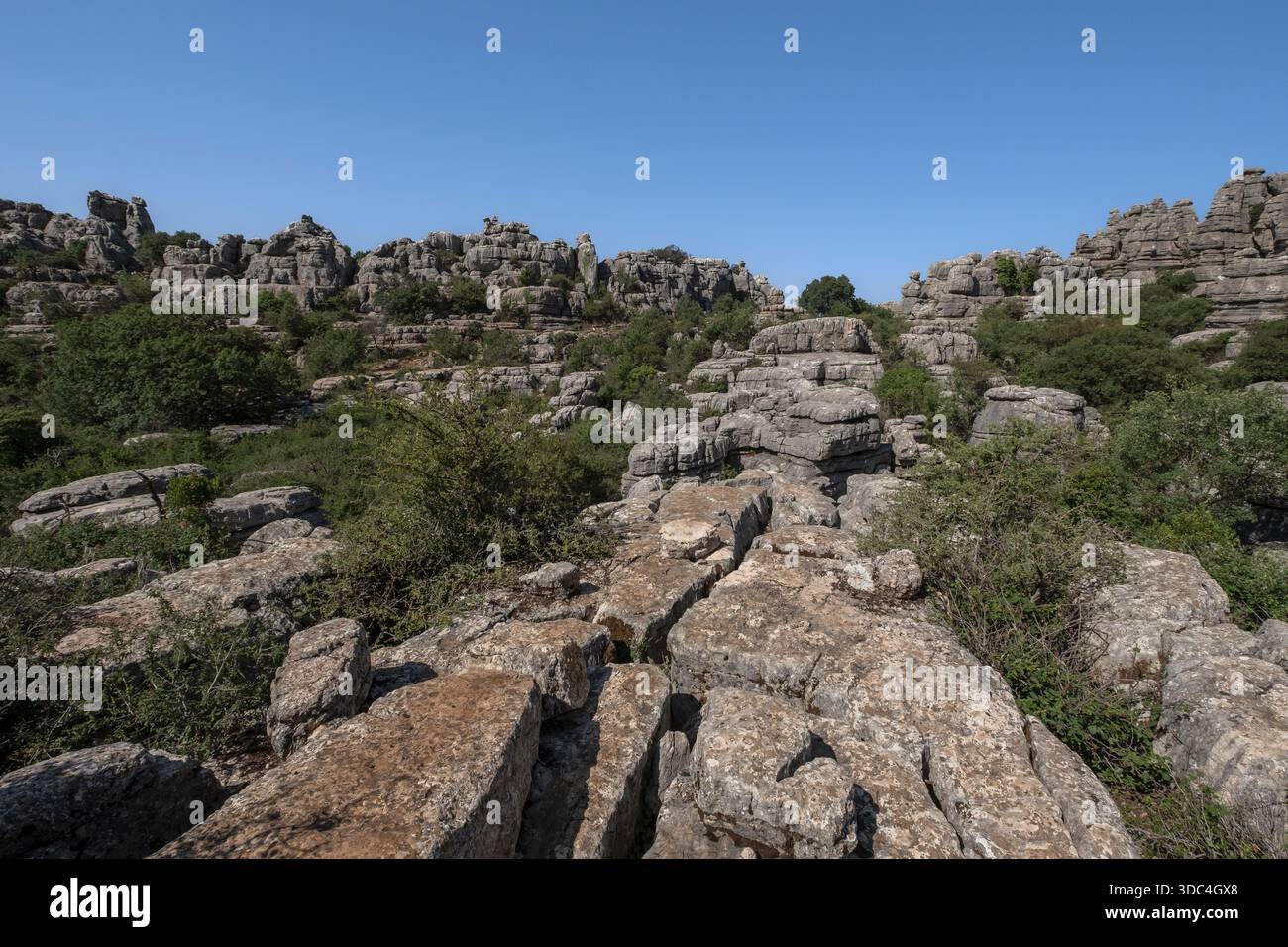 Karstlandschaften wie Dolinen und erodierte Kalksteinformationen im Naturpark Torcal de Antequera, Malaga, Spanien Stockfoto