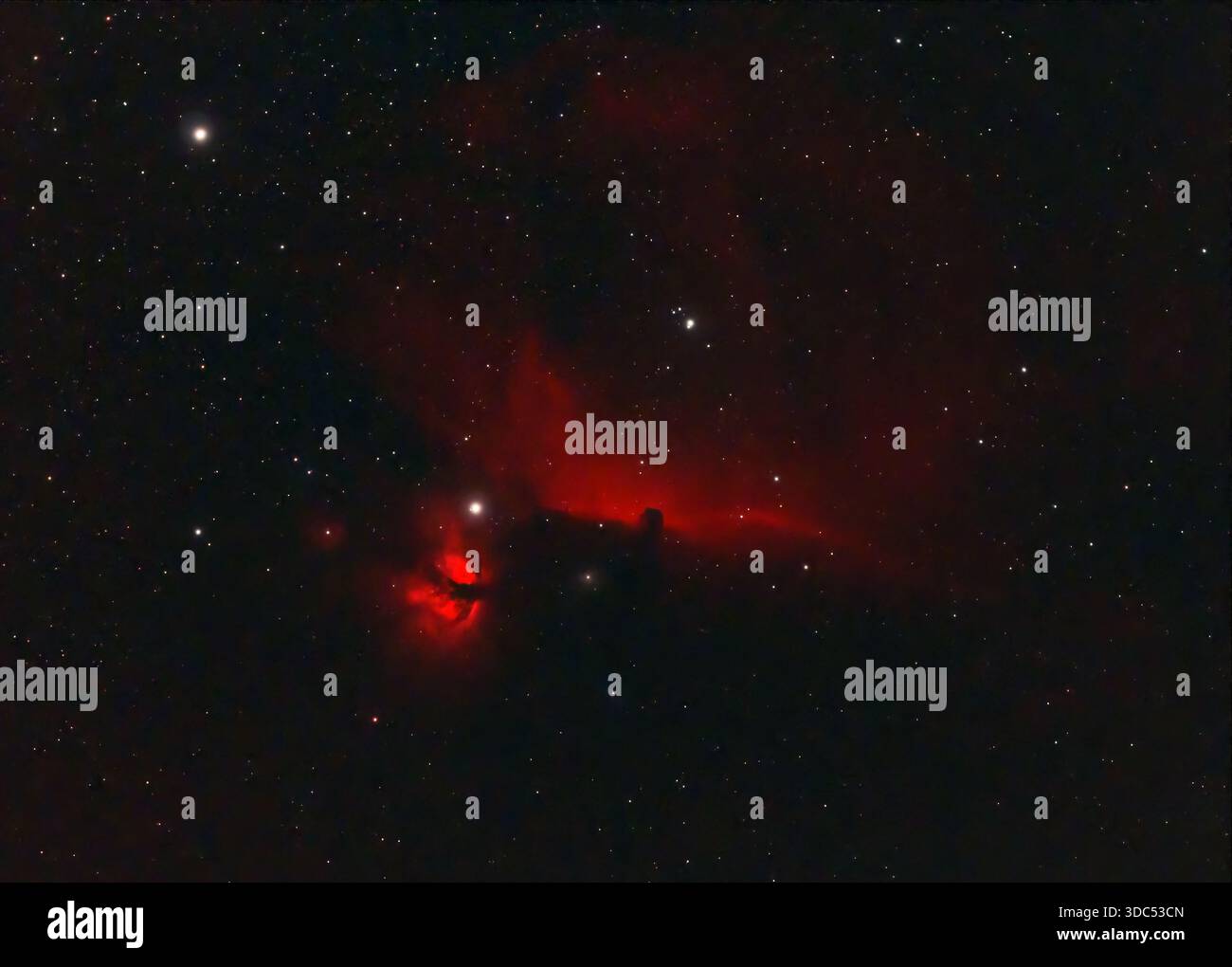 Der Pferdekopf- und Flammennebel zwischen dem Stern Alnitak im Oriongürtel. Stockfoto