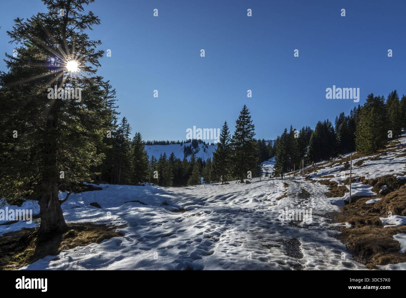 Höhenwanderweg vom Bolsterlanger Horn zum Riedberger Horn, schneebedeckt, Bolsterlang, Oberstdorf, Oberallgaeu, Allgaeu, Bayern, Deutschland Stockfoto