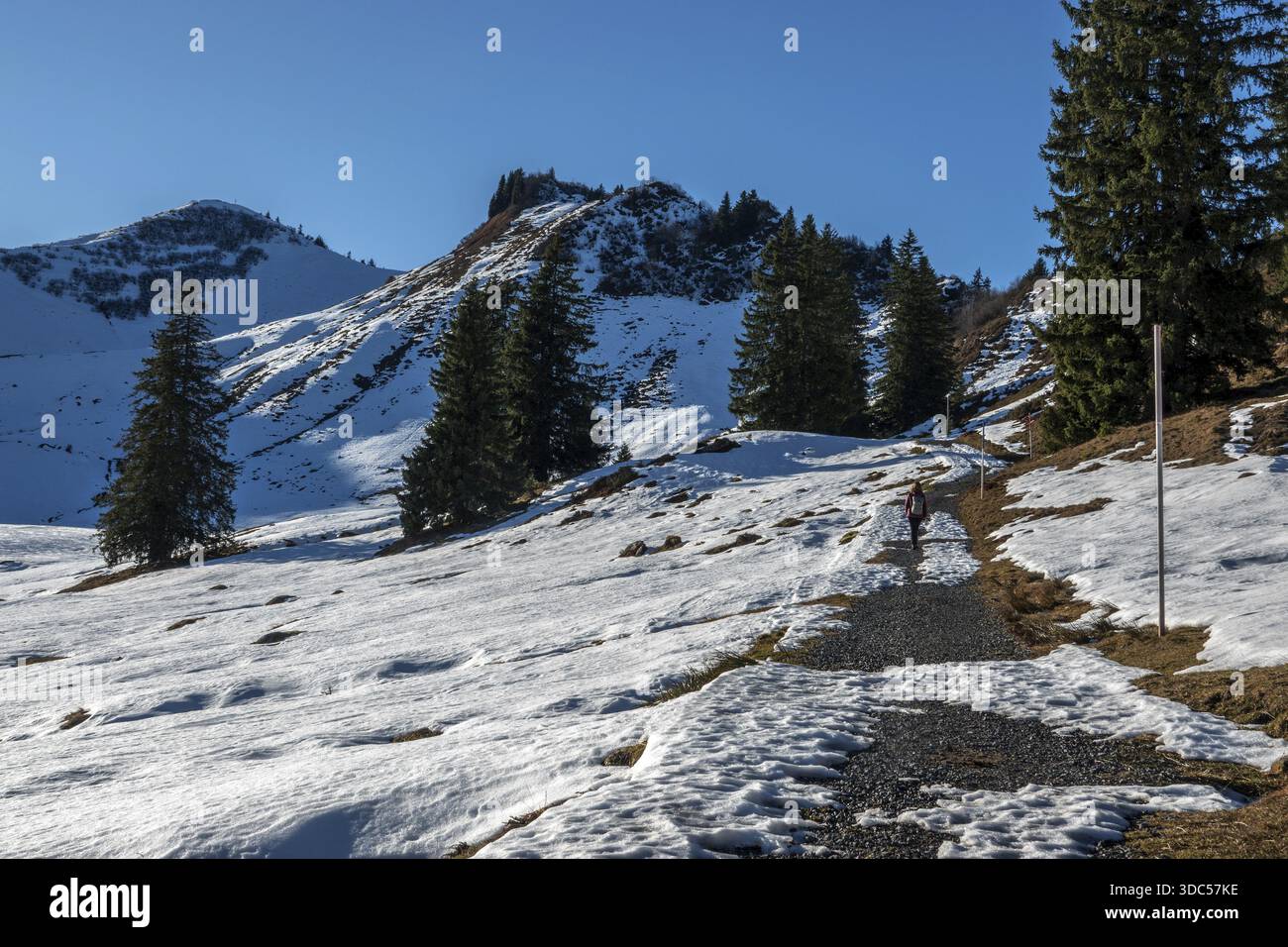 Höhenwanderweg vom Bolsterlanger Horn zum Riedberger Horn, schneebedeckt, hinten links Riedbergerhorn, Bolsterlang, Oberstdorf, Oberallgaeu, A Stockfoto
