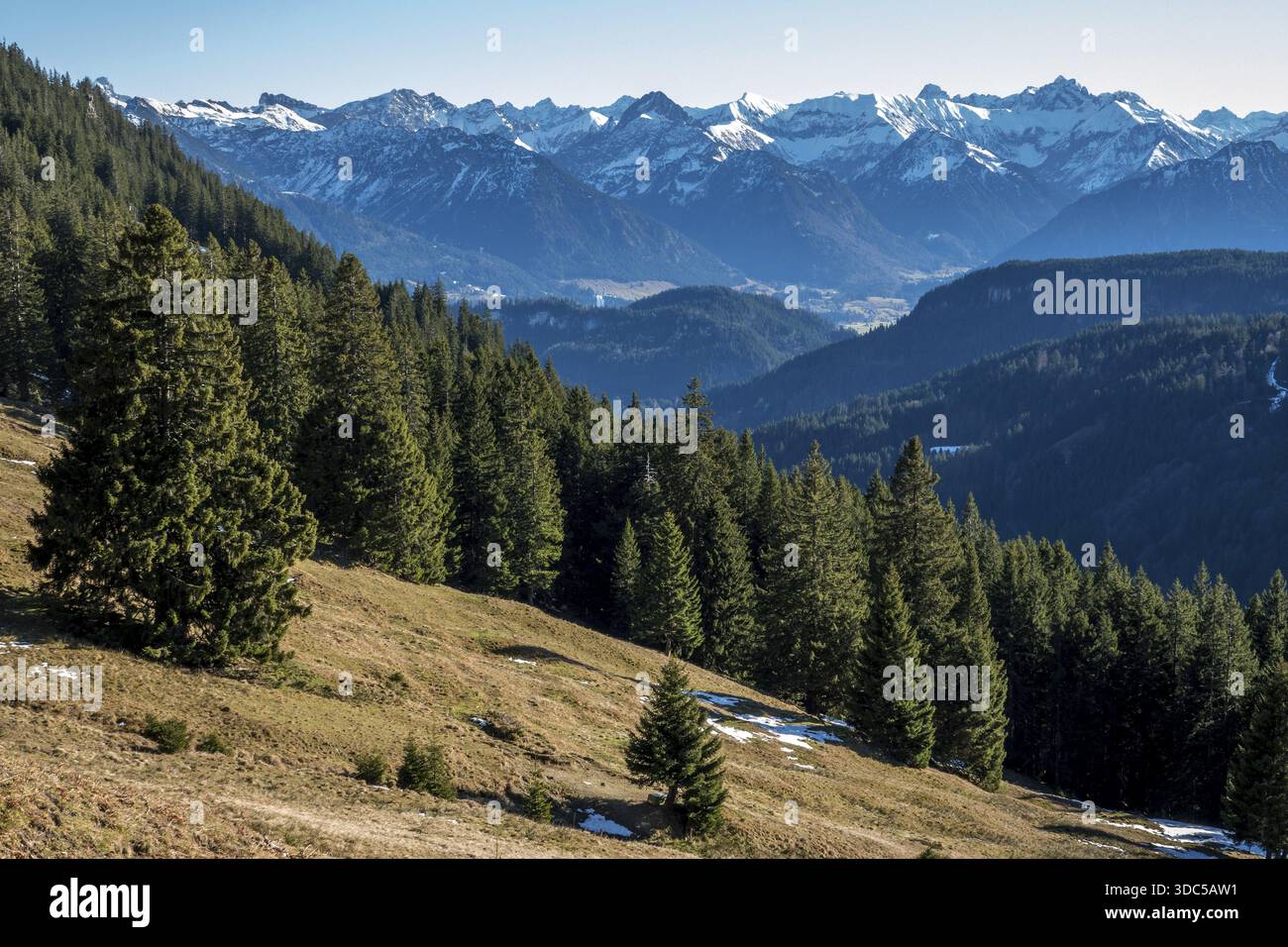 Blick vom Höhenwanderweg vom Bolsterlanger Horn zum Riedberger Horn, schneebedeckten Bergen der Allgäuer Alpen, Bolsterlang, Oberstdor Stockfoto