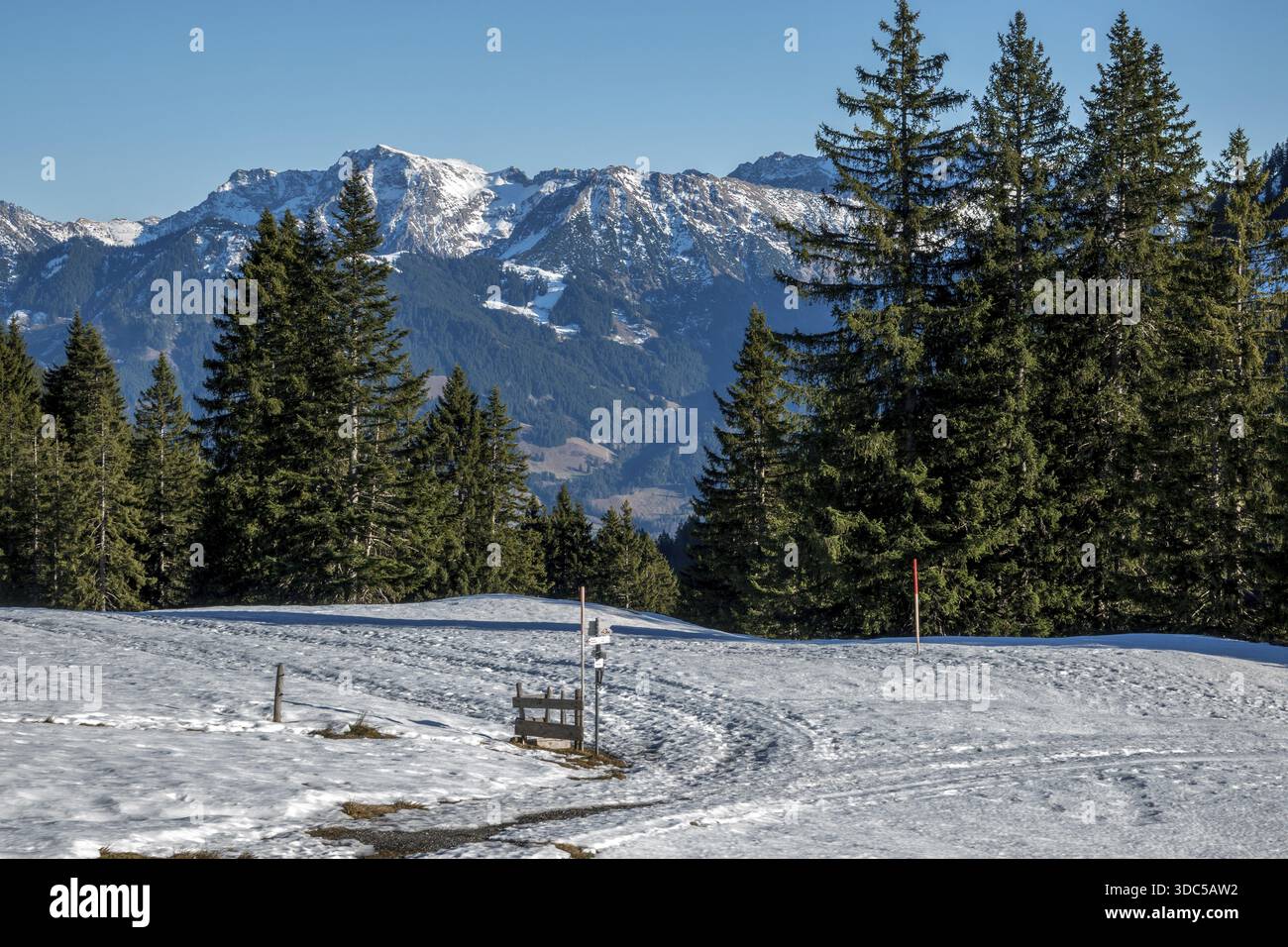 Blick vom Höhenwanderweg vom Bolsterlanger Horn zum Riedberger Horn, schneebedeckten Bergen der Allgäuer Alpen, Bolsterlang, Oberstdor Stockfoto