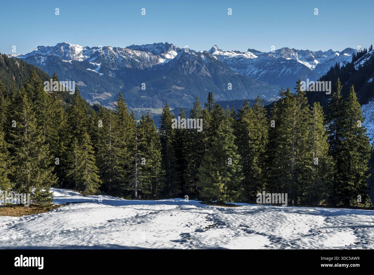 Blick vom Höhenwanderweg vom Bolsterlanger Horn zum Riedberger Horn, schneebedeckten Bergen der Allgäuer Alpen, Bolsterlang, Oberstdor Stockfoto