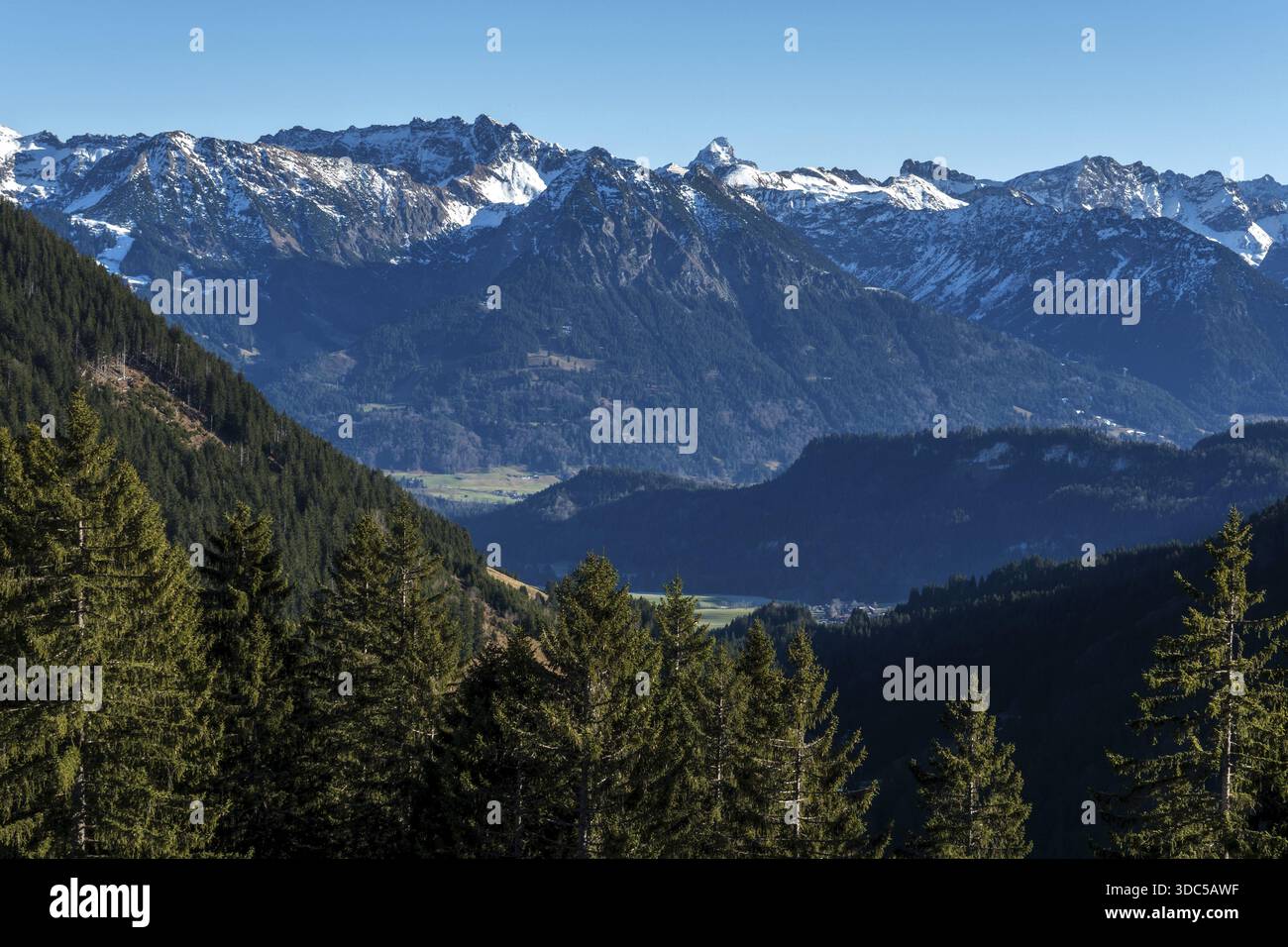 Blick vom Höhenwanderweg vom Bolsterlanger Horn zum Riedberger Horn, schneebedeckten Bergen der Allgäuer Alpen, Bolsterlang, Oberstdor Stockfoto
