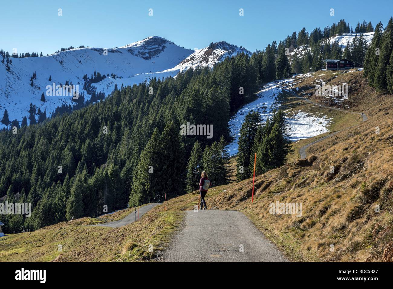 Wanderer auf Höhenwanderweg vom Bolsterlanger Horn zum Riedberger Horn, zurück Riedbergerhorn, Bolsterlang, Oberstdorf, Oberallgaeu, Allg Stockfoto