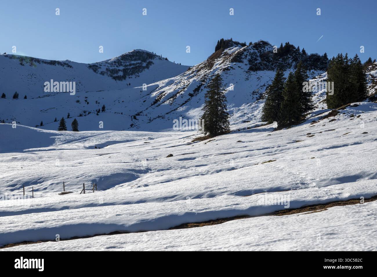 Höhenwanderweg vom Bolsterlanger Horn zum Riedberger Horn, schneebedeckt, hinter Riedbergerhorn, Bolsterlang, Oberstdorf, Oberallgaeu, Allg Stockfoto