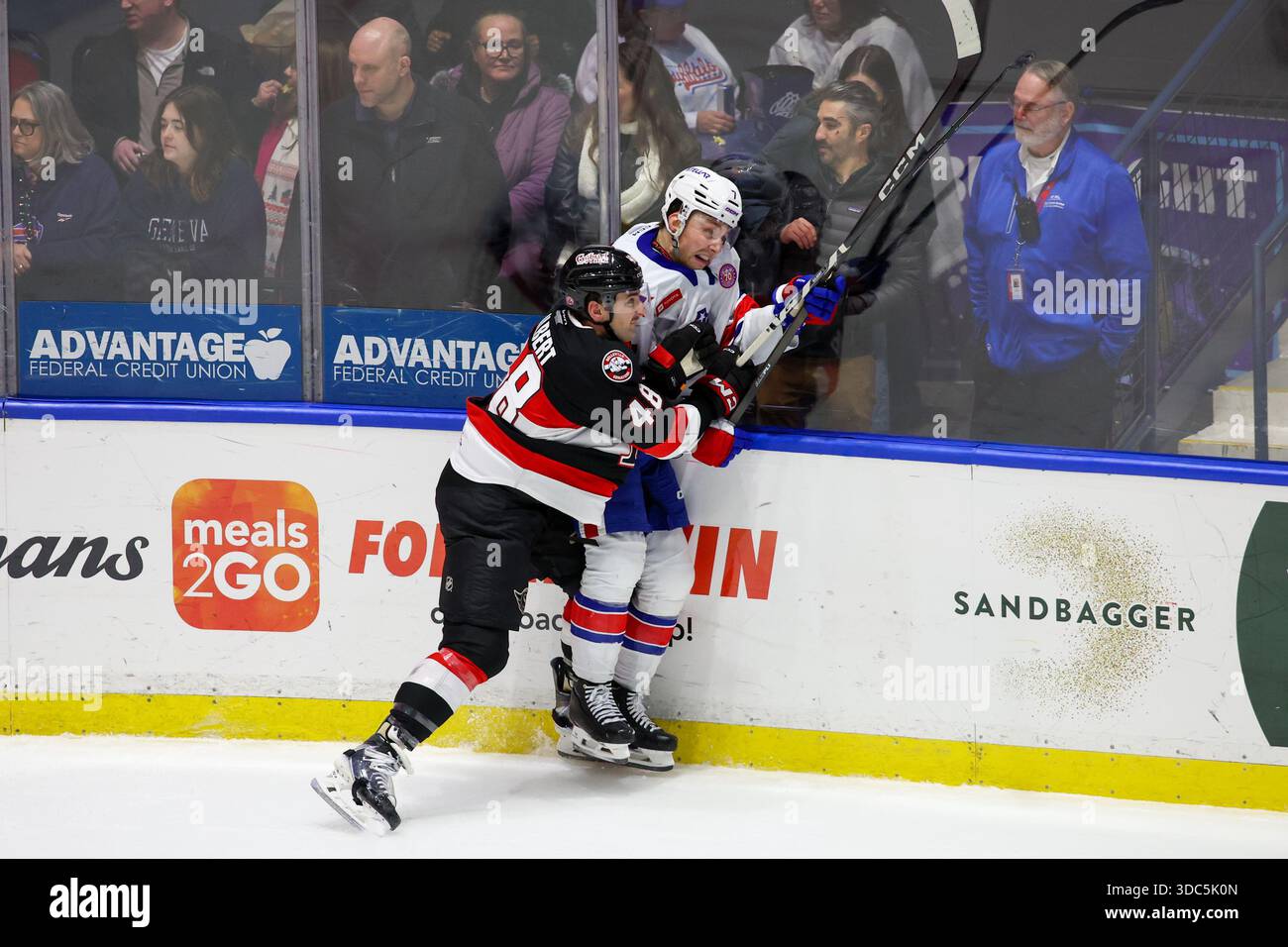Rochester, New York, USA. Dezember 2025. Dennis Gilbert (48), Verteidiger der Belleville Senators, wirft in der zweiten Periode einen Hit gegen die Rochester Americans. Die Rochester Americans veranstalteten die Belleville Senators in einem Spiel der American Hockey League in der Blue Cross Arena in Rochester, New York. (Jonathan Tenca/CSM). Quelle: csm/Alamy Live News Stockfoto