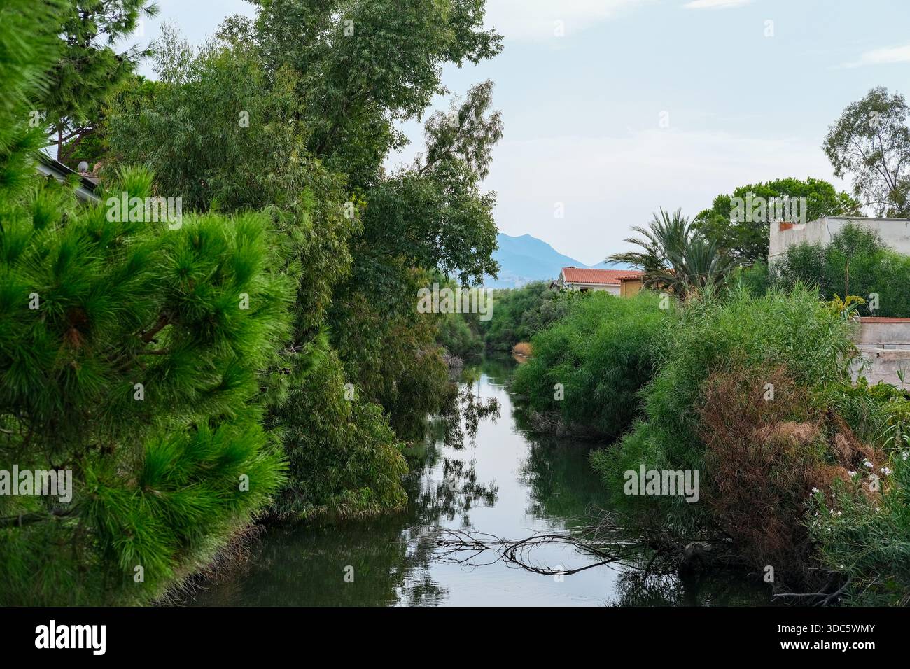 Blick auf Augenhöhe entlang eines ruhigen Flusses mit grünen Sträuchern und Bäumen an beiden Ufern, Reflexionen auf der Wasseroberfläche, teilweise sichtbare Häuser, bedecktes Tageslicht Stockfoto