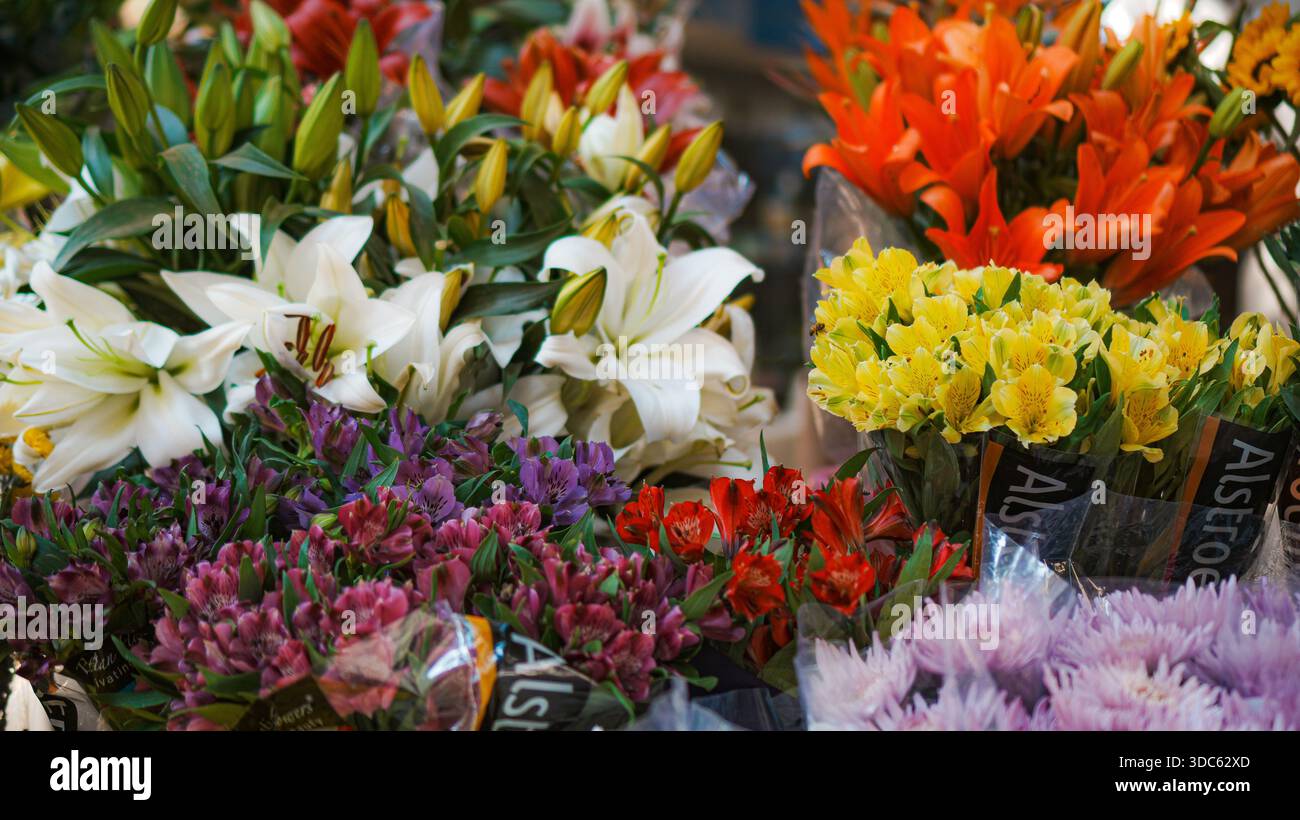Wunderschöner Blumenstrauß mit verschiedenen Blumen an einem Tag Stockfoto