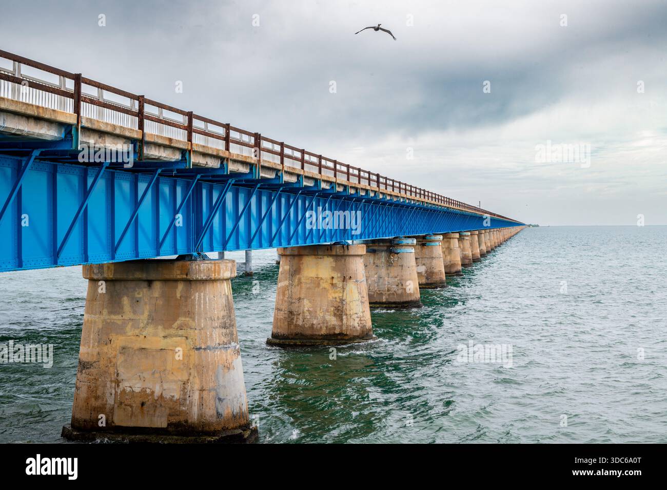 Siebenmeile Bridge verschwindet am Horizont an einem bewölkten Tag, ein Pelikan fliegt am Himmel, die Keys, Florida Stockfoto