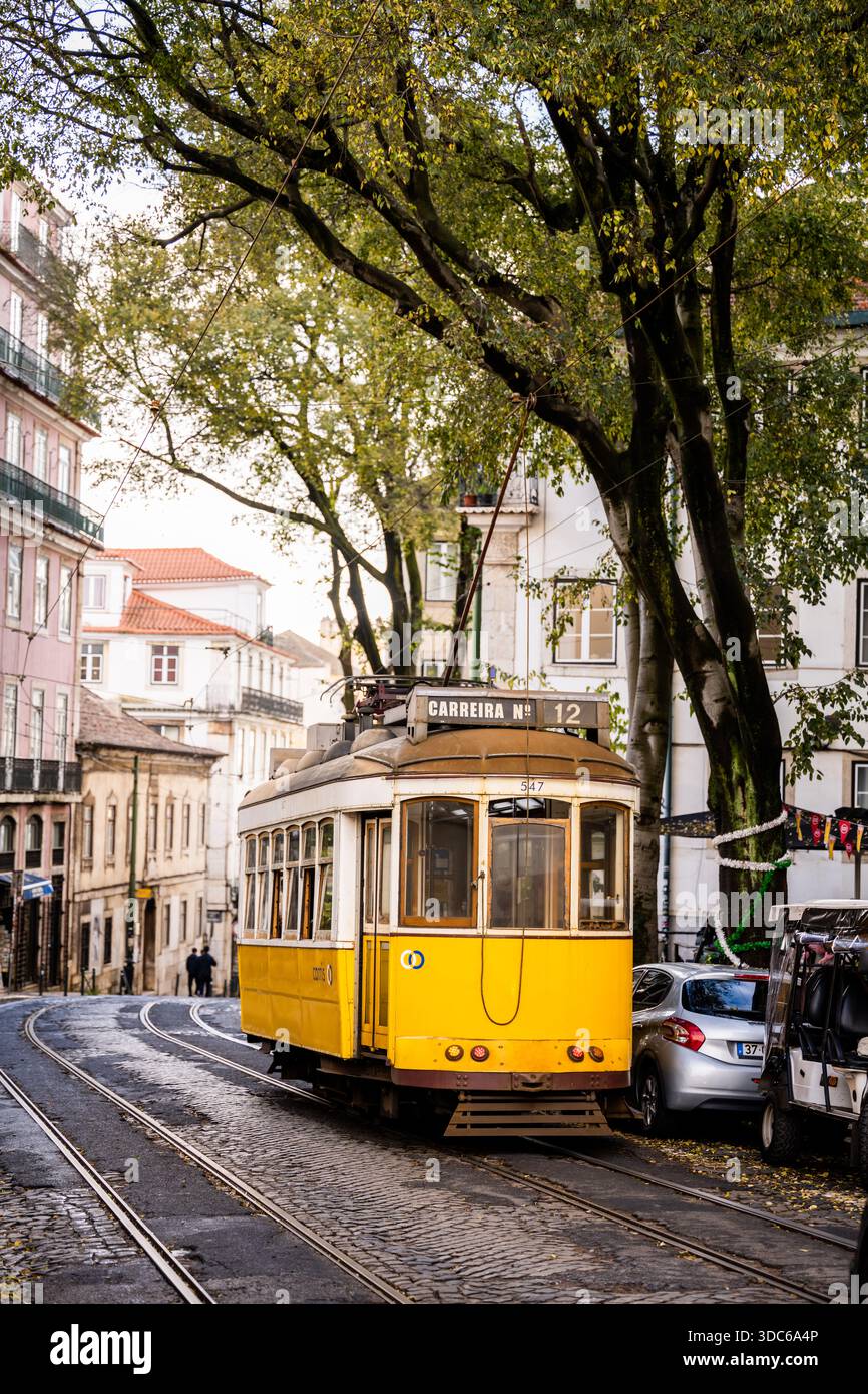 Lissabon Portugal 5. Dezember 2025. Eine gelbe elektrische Straßenbahn führt über eine enge Kopfsteinpflasterstraße, die von Gebäuden und Bäumen gesäumt ist. Stockfoto