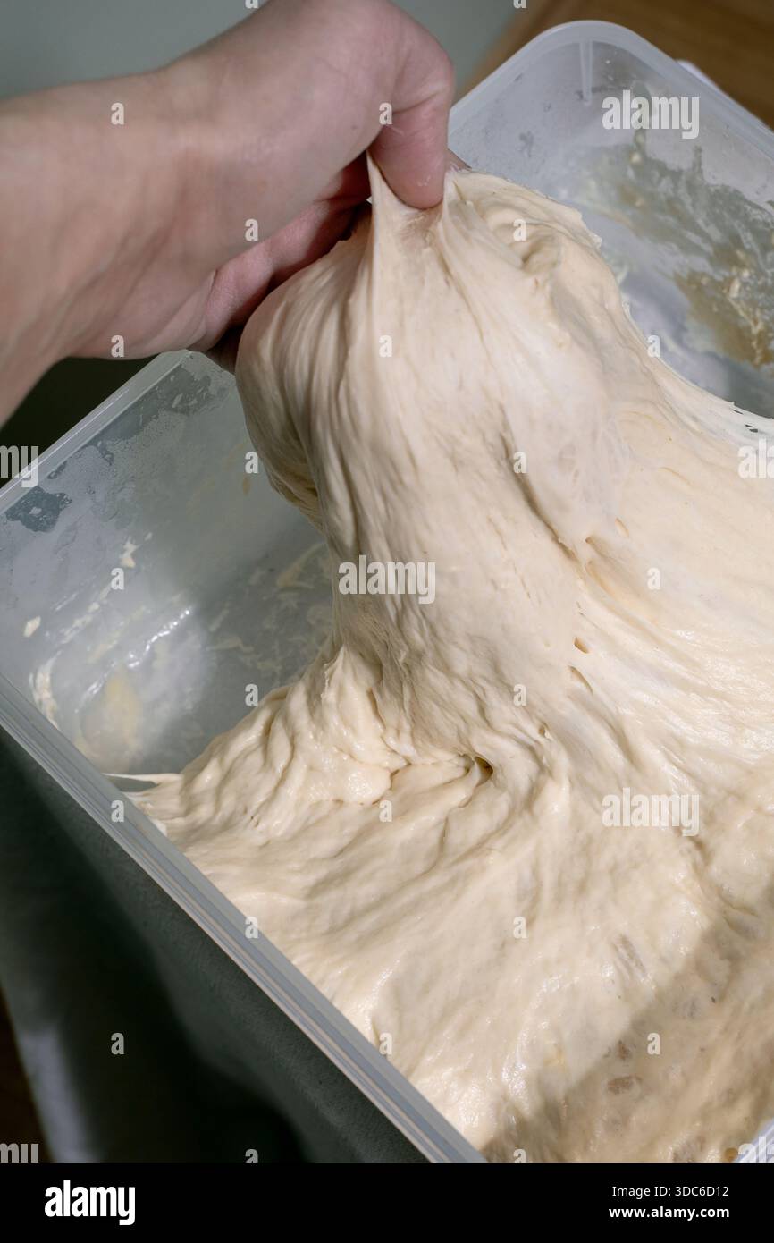Elastischer Brotteig von Hand aus Kunststoffbehälter ziehen. Hausgemachter Hefeteig zum Backen. Backprozess für die Nahaufnahme. Stockfoto
