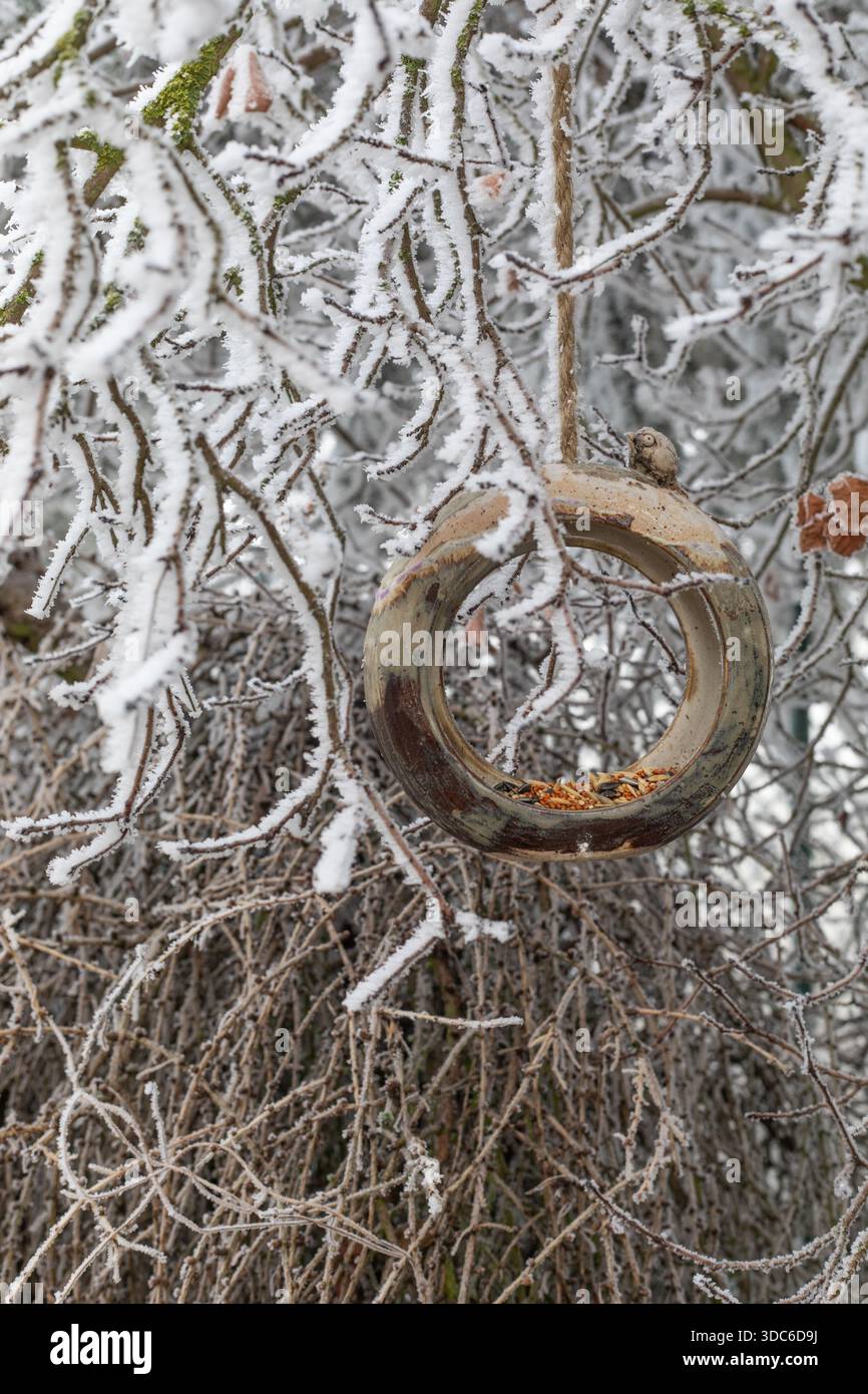 Winterhintergrund. Handgefertigtes Vogelfutter aus Keramik mit Vogelfutter. Frost an Ästen im Wintergarten. Winter in Mitteleuropa. Naturschutzkonzept Stockfoto