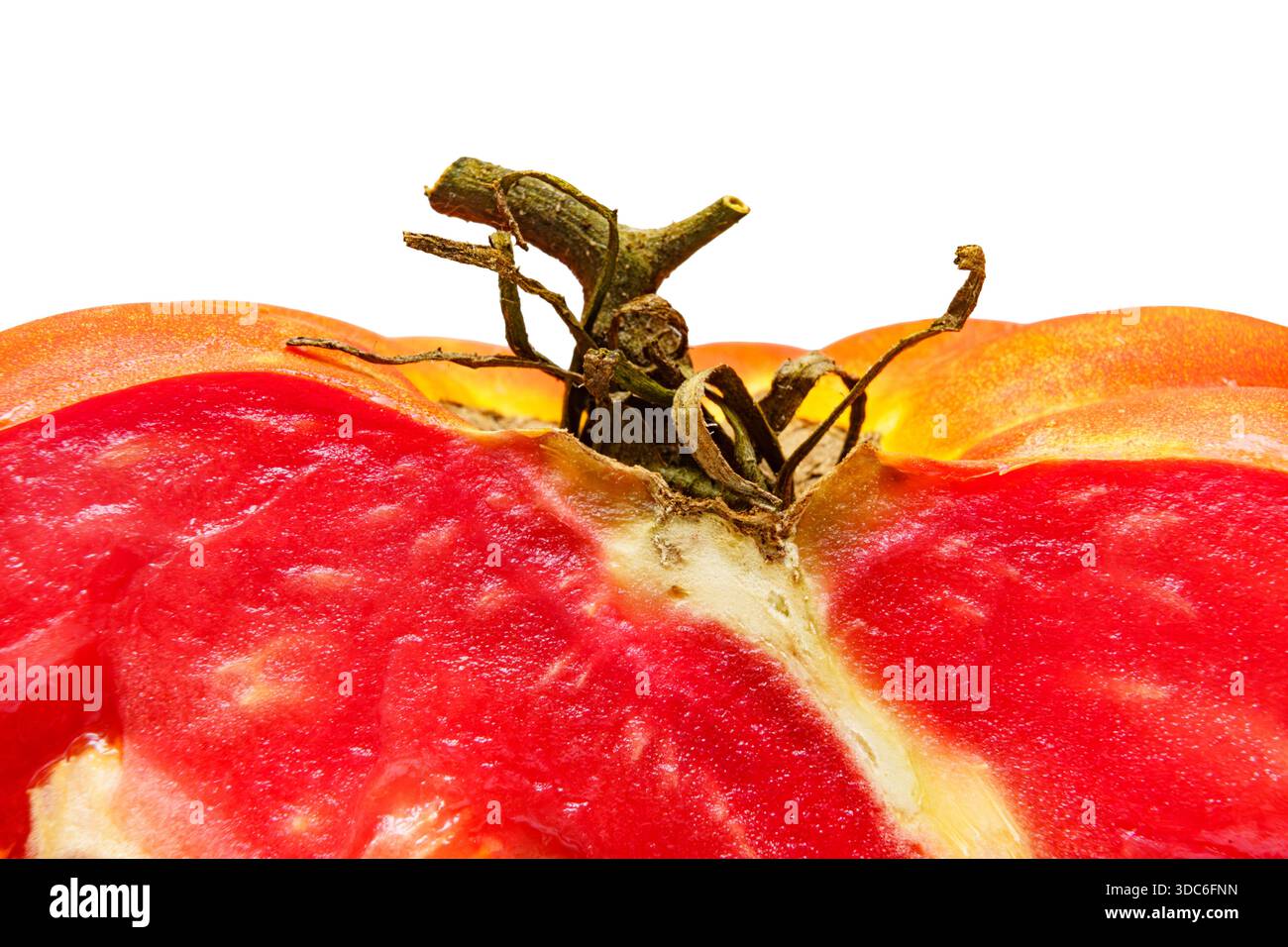 Eine geschnittene Tomate zeigt ein rotes Inneres mit einem grünen Stiel auf der Oberseite. Der Schwerpunkt liegt auf der Textur und dem Farbkontrast der Frucht. Stockfoto
