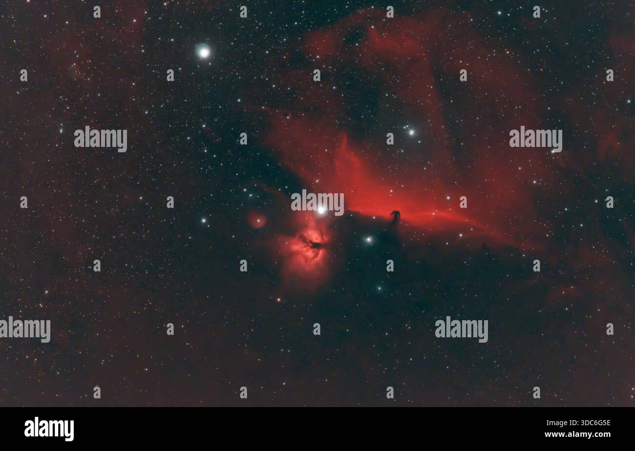 Wimbledon, London, Großbritannien. Dezember 2025. Langzeitaufnahme (2,5 Stunden) des Flammennebels und des Pferdekopfnebels mit einem kombinierten schmalbandigen H-alpha- und OIII-Filter an einem Teleskop am klaren Winterhimmel über London. Der helle Stern Alnitak, der untere Stern des Orionengürtels, ist von beiden Nebeln umgeben, wobei der dunkle Horsehead-Nebel scharf aus dem Hintergrundglühen von IC 434 abhebt. Quelle: Malcolm Park/Alamy Live News Stockfoto