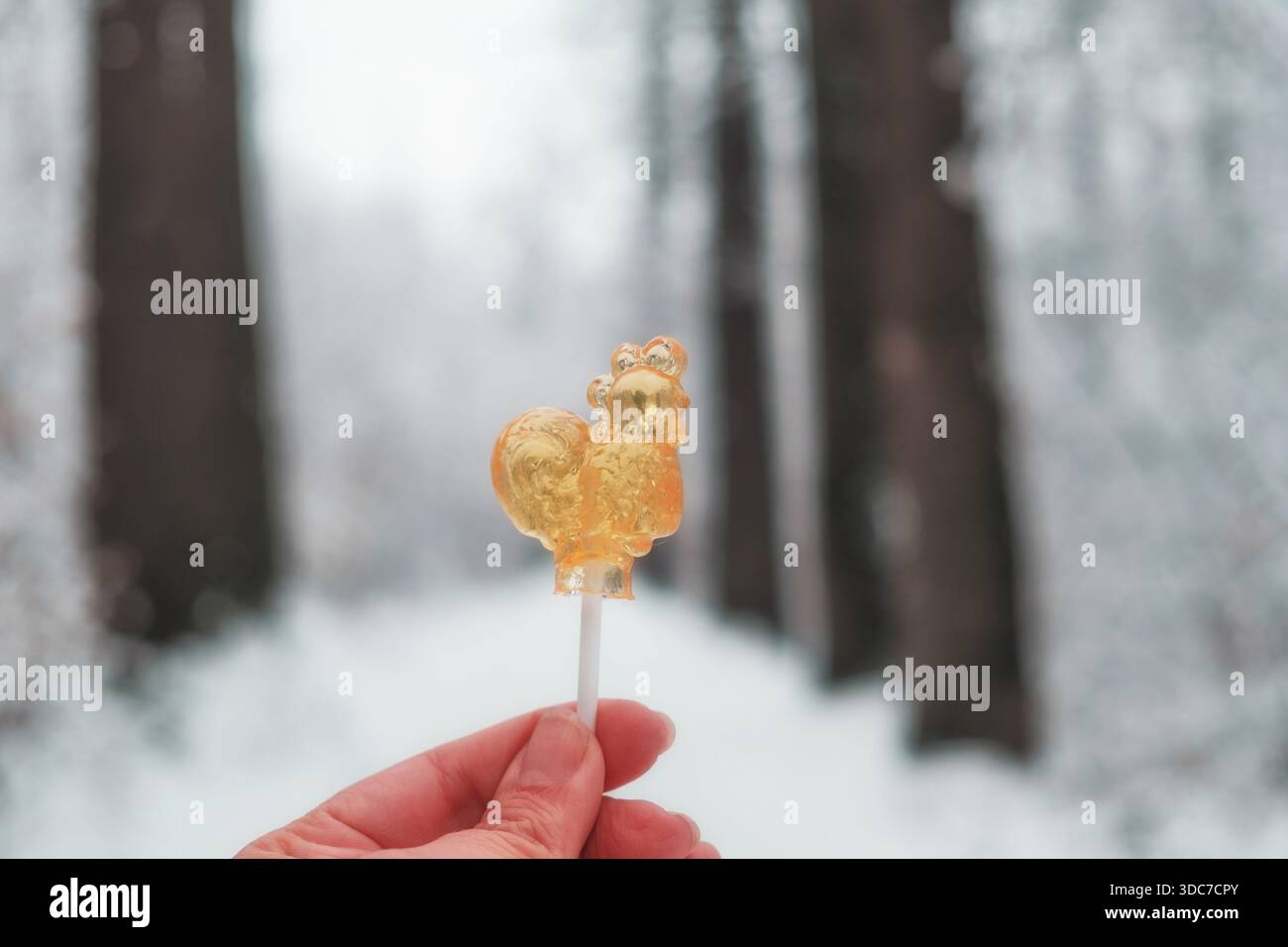 Lutscher Hahn in einem verschneiten Wald. Eine Wintergeschichte, Nostalgie für die Kindheit. Ein leuchtend orangener Zuckerlutscher in der Hand vor einem unscharfen Hintergrund Stockfoto