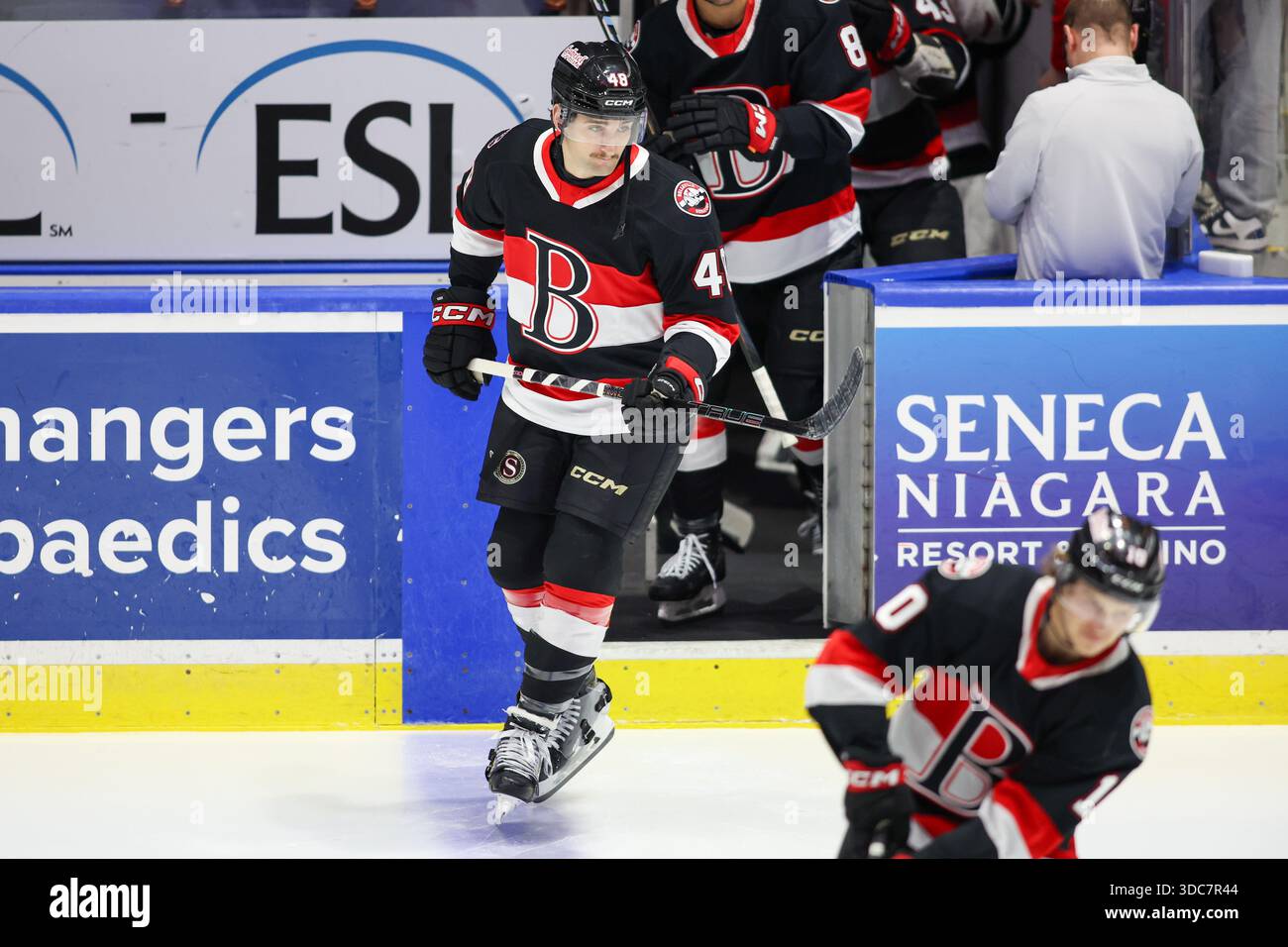 Rochester, New York, USA. Dezember 2025. Dennis Gilbert (48), Abwehrspieler der Belleville Senators, Skateboard vor einem Spiel gegen die Rochester Americans. Die Rochester Americans veranstalteten die Belleville Senators in einem Spiel der American Hockey League in der Blue Cross Arena in Rochester, New York. (Jonathan Tenca/CSM) (Bild: © Jonathan Tenca/Cal Sport Media). Quelle: csm/Alamy Live News Stockfoto