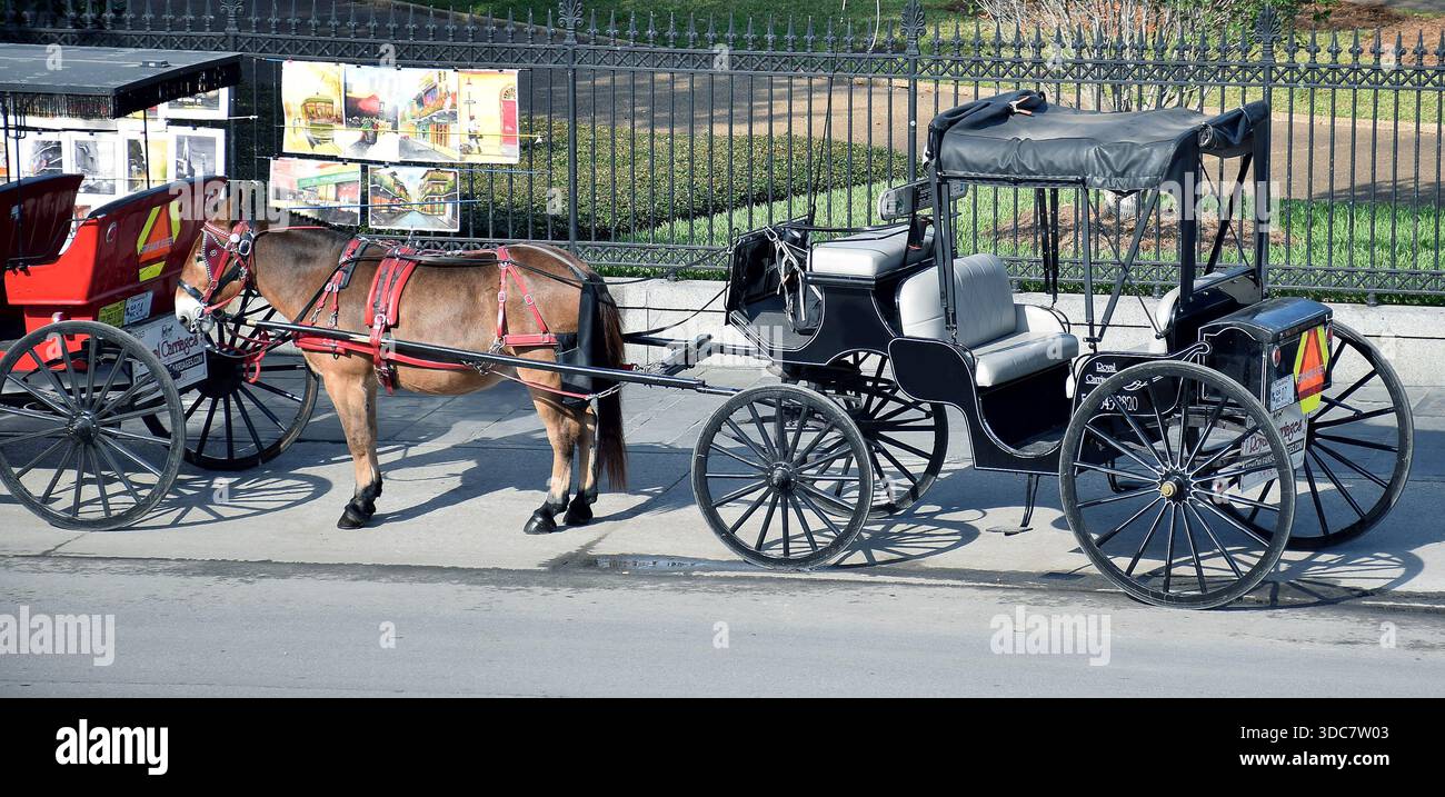 Eine Pferdekutsche wartet auf Passagiere in New Orleans, Louisiana Stockfoto