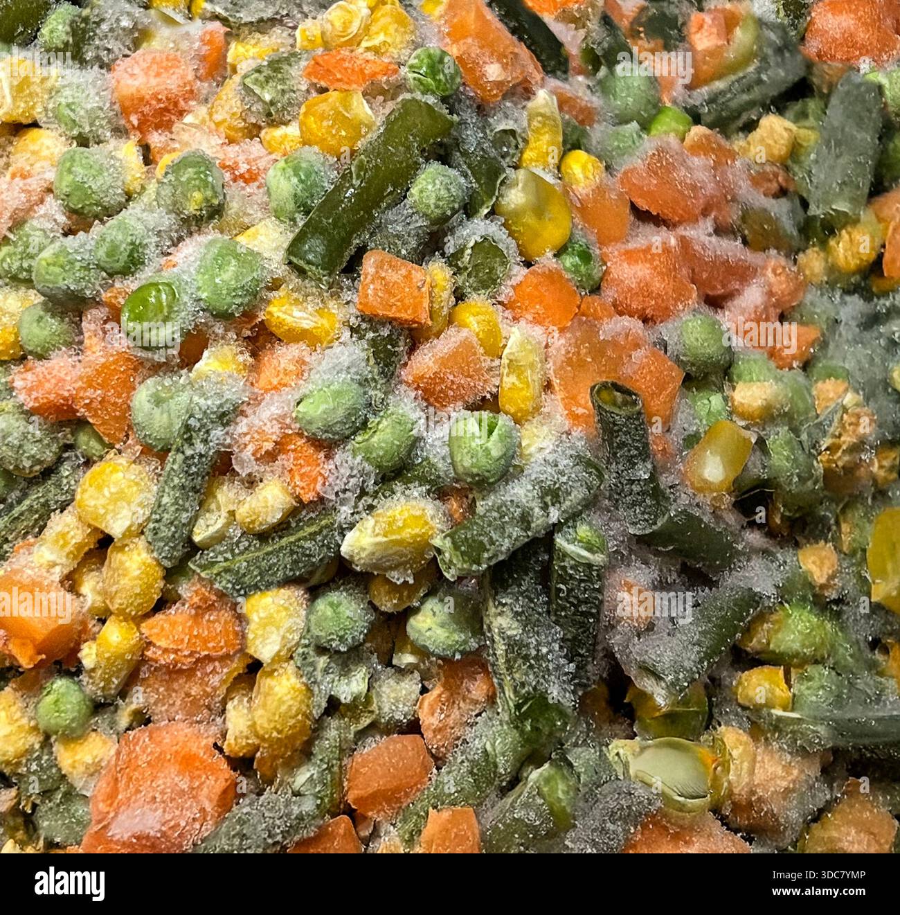 Eine Schüssel enthält eine Vielzahl von gefrorenem Gemüse, darunter grüne Bohnen, Mais, Erbsen und Karotten. Die Mischung ist bunt und zeigt Speisen, die bereit sind, zu kochen. Stockfoto