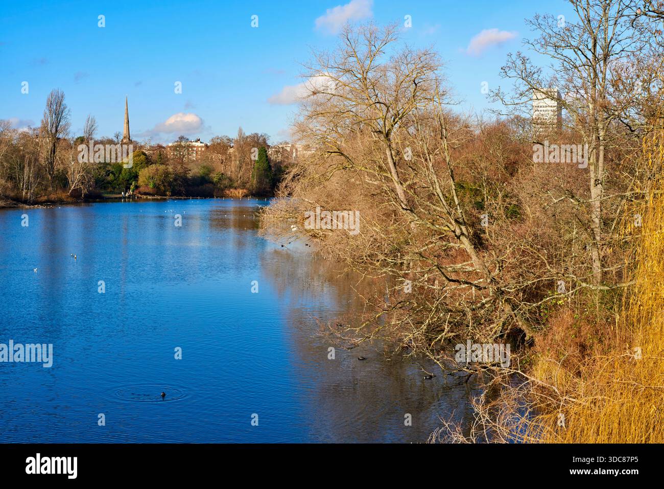 Das Long Water und die Kensington Gardens, London, Großbritannien, im Winter, von der Serpentine Bridge aus gesehen Stockfoto