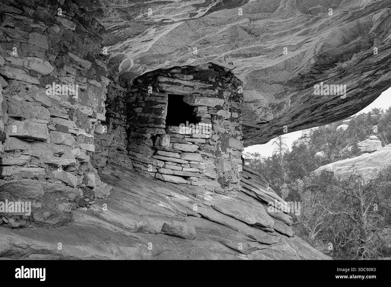 Brennendes Haus. Kornspeicher wurden in Cedar Mesa Sandstein gebaut. Mule Canyon, San Juan County, Utah, USA Stockfoto