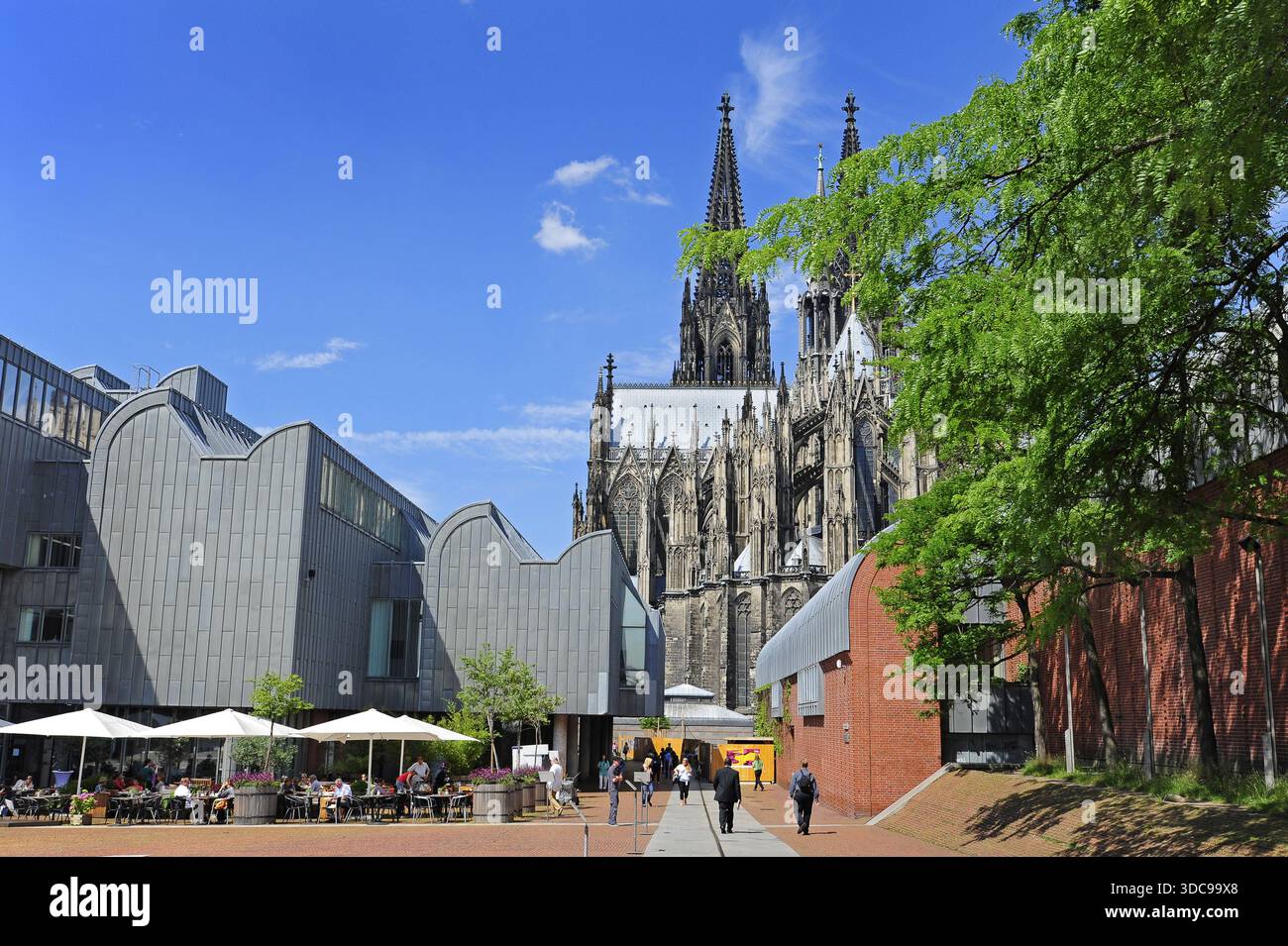 Gastronomie vor dem Museum Ludwig, einem Museum für moderne Kunst, hinter dem Kölner Dom, Köln, Rheinland, Nordrhein-Westfalen, Nordrhein-Westph Stockfoto