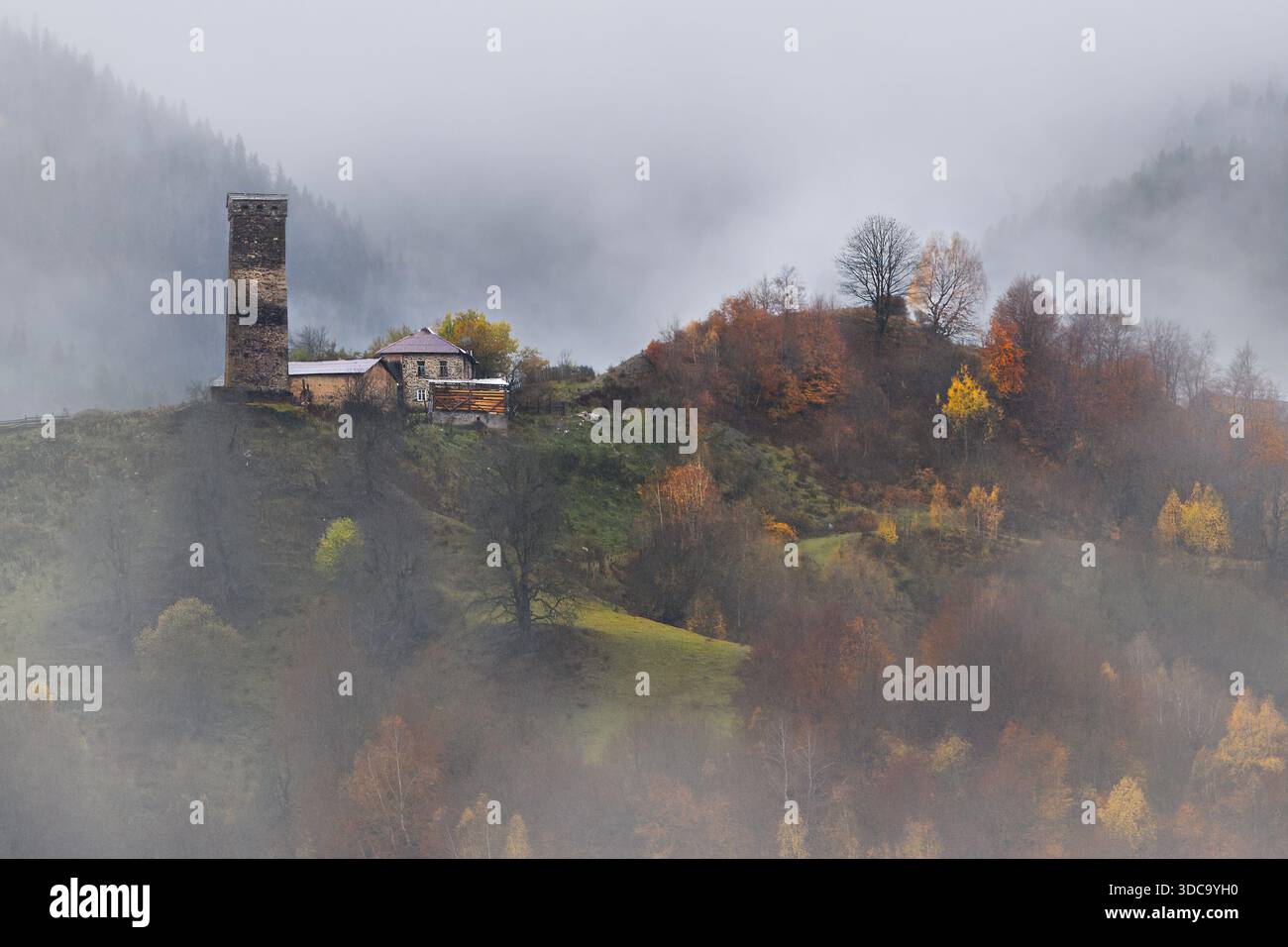 Herbstfarben im Nebel im Kaukasus in Georgia Stockfoto