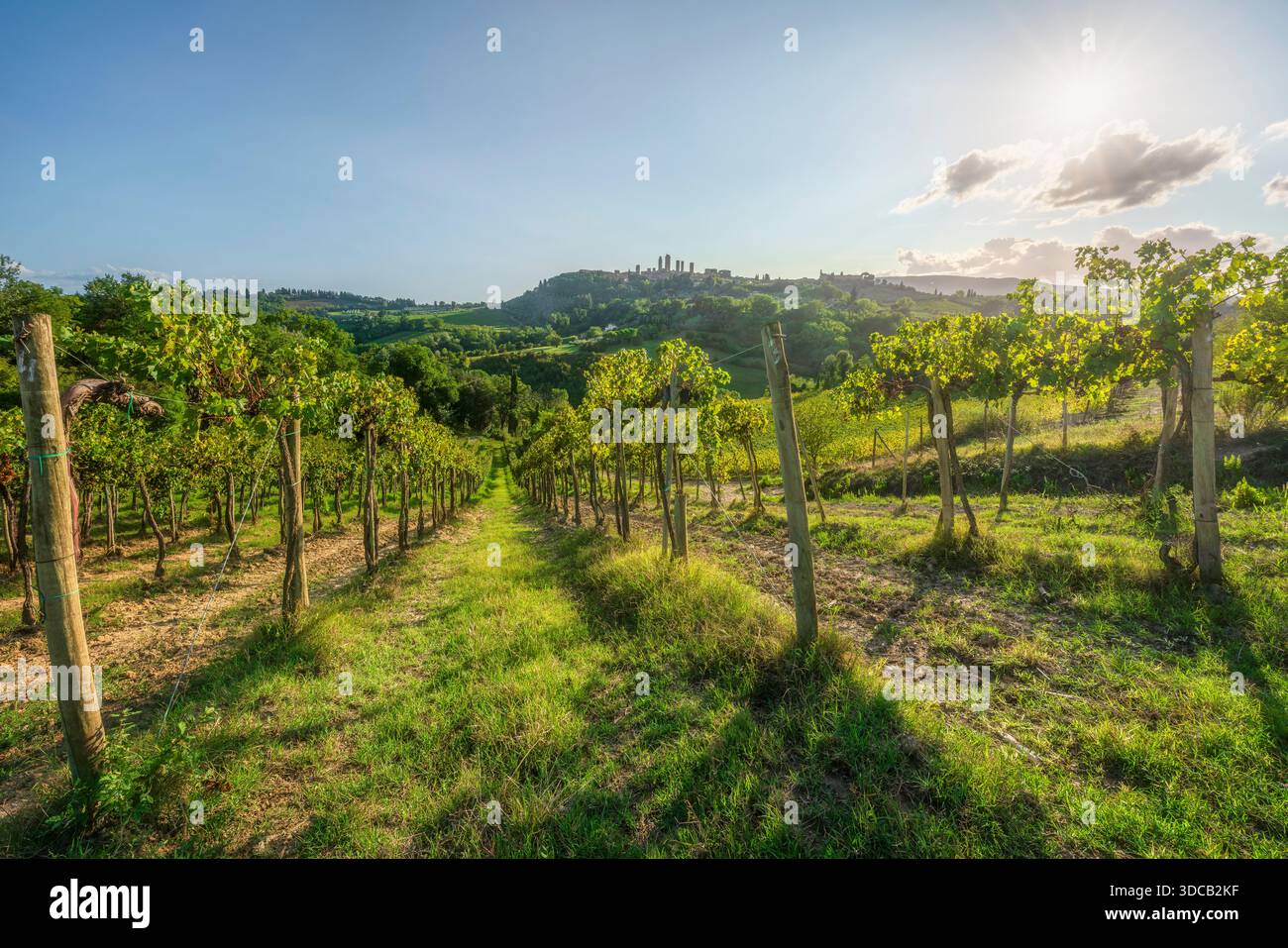 Blick auf die Weinberge bei Sonnenuntergang mit den mittelalterlichen Türmen von San Gimignano am Horizont. Landschaft der toskanischen Landschaft, Provinz Siena, Italien Stockfoto