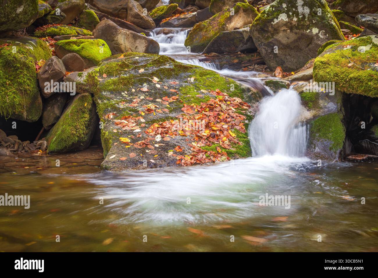 Das Herbstlaub markiert einen Bach mit fließendem Wasser tief in den großen Smoky Mountains, der die Wildnis in Aktion zeigt, während der Herbst beginnt, in den Fall zu übergehen Stockfoto
