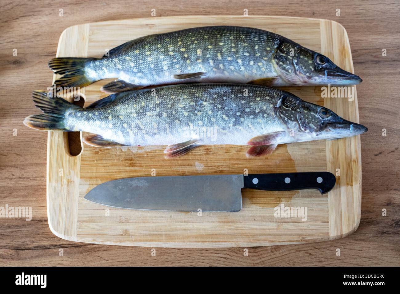Zwei rohe Hechte auf einem Schneidebrett mit einem Messer. Frischer Fisch zum Schneiden und Kochen. Draufsicht Stockfoto