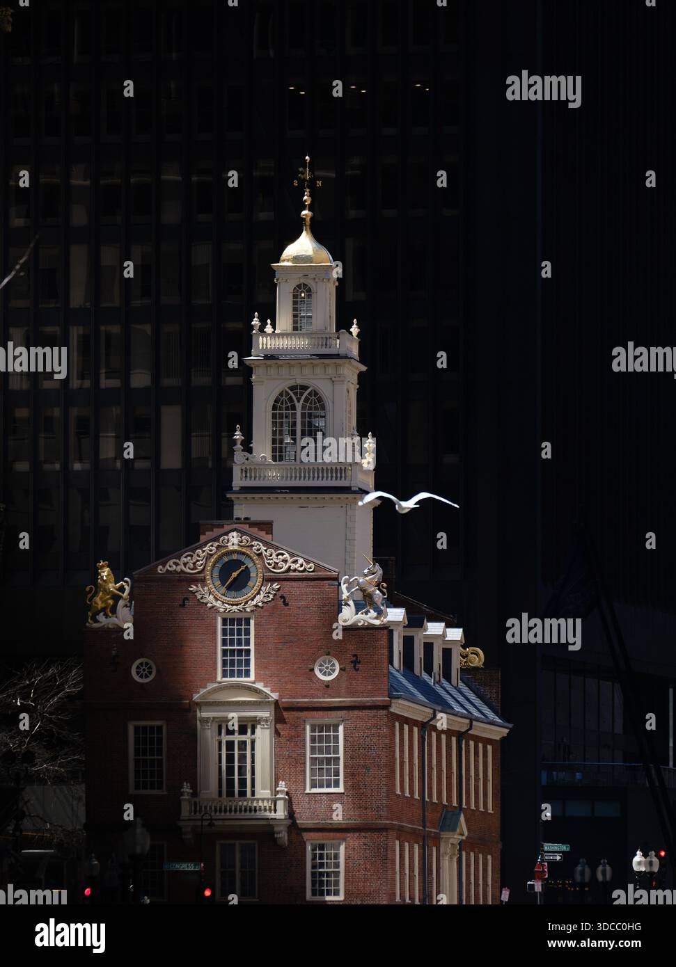Seagull Over Old South Meeting House, Boston, USA Stockfoto