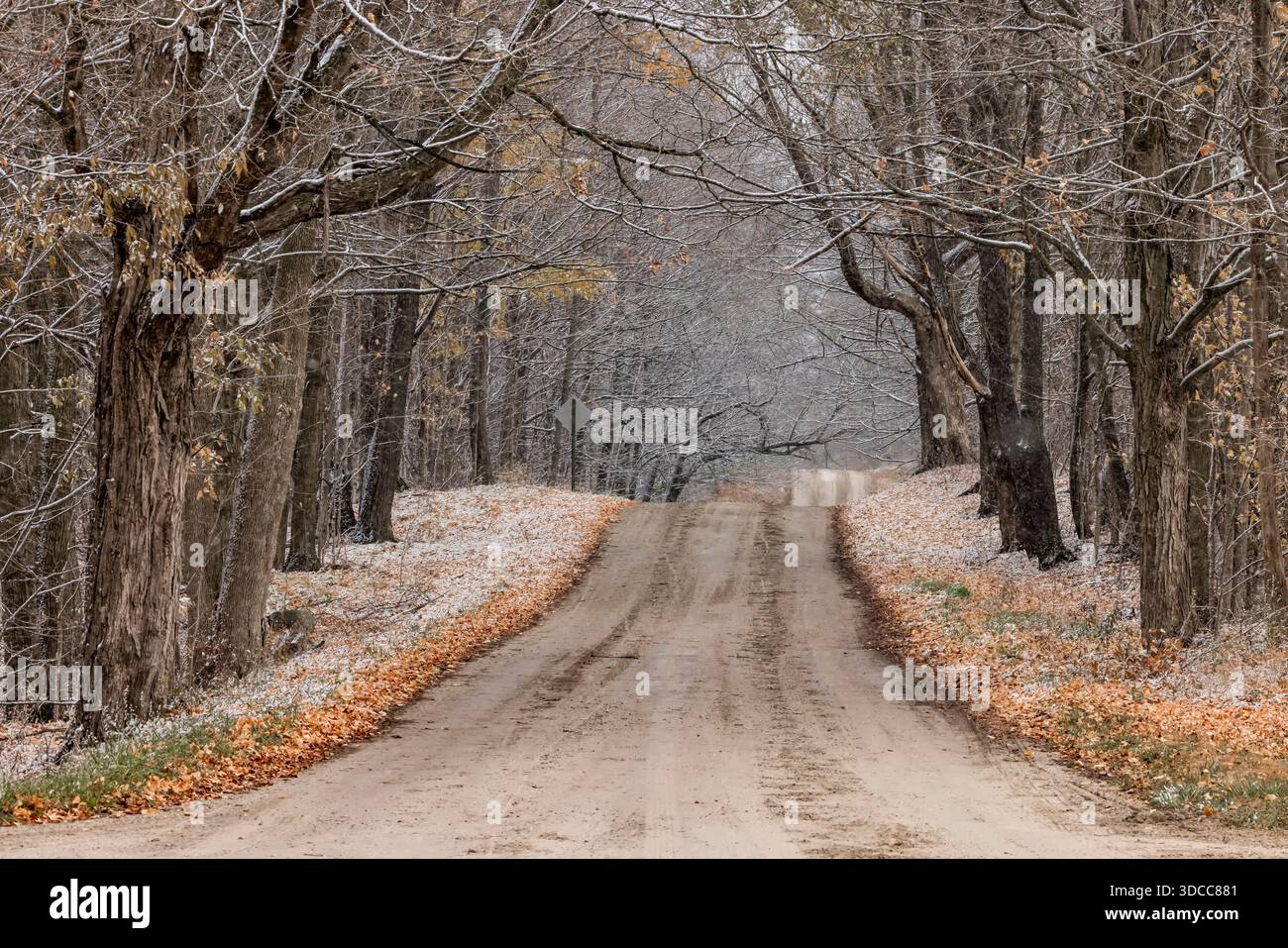 Mecosta County, Michigan, USA Stockfoto