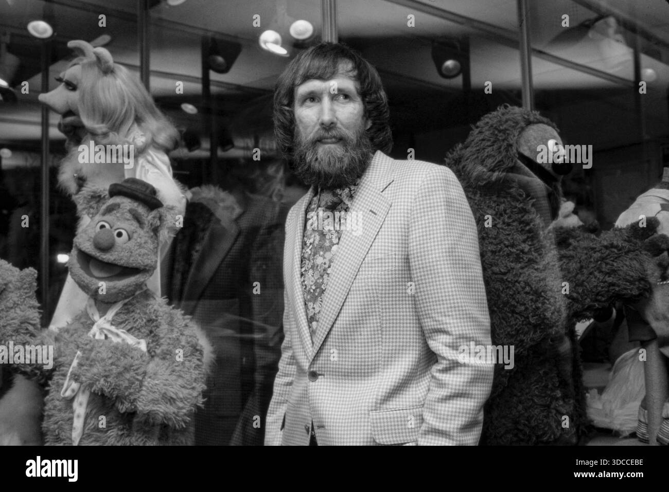 Muppet-Schöpfer Jim Henson umgeben von seinen Kreationen Kermit, Fozzie Bear und Miss Piggy, die die Magie von Hensons Werk symbolisieren. Foto von Bernard Gotfryd Stockfoto