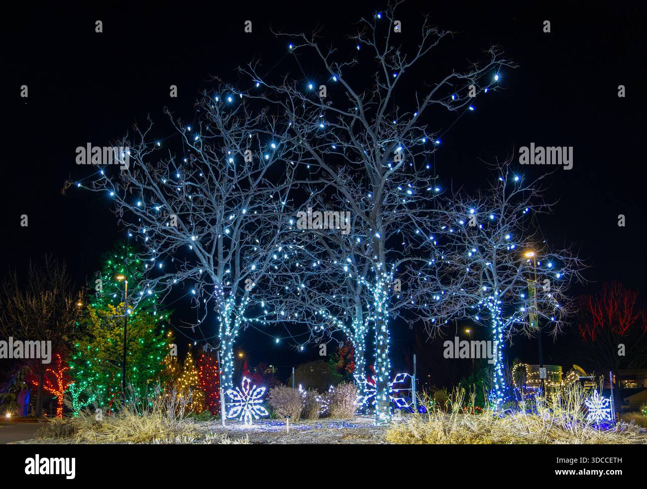 Künstlerische Weihnachtsdekoration in der Innenstadt von Fort Collins, Colorado Stockfoto