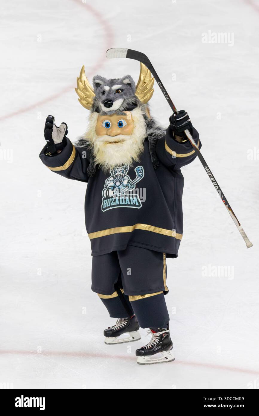 ISTANBUL, TÜRKEI - 19. Dezember 2025 : das Maskottchen von Buzadam ist während der regulären Saison der türkischen Eishockey Super League im Spiel der 8. Runde zwischen Buzadam und TED Kocaeli im Zeytinburnu Buz Adasi Ice Ring im Einsatz . Quelle: Ahmetozkanphotography/Alamy Live News Stockfoto