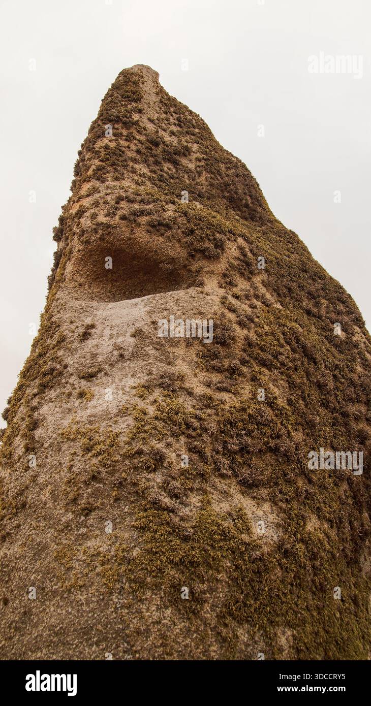 Nahaufnahme eines moosbedeckten Monolithen mit detaillierten Texturen. Üppiges grünes Moos und Naturstein sorgen für eine reichhaltige, haptische Szene. Stockfoto