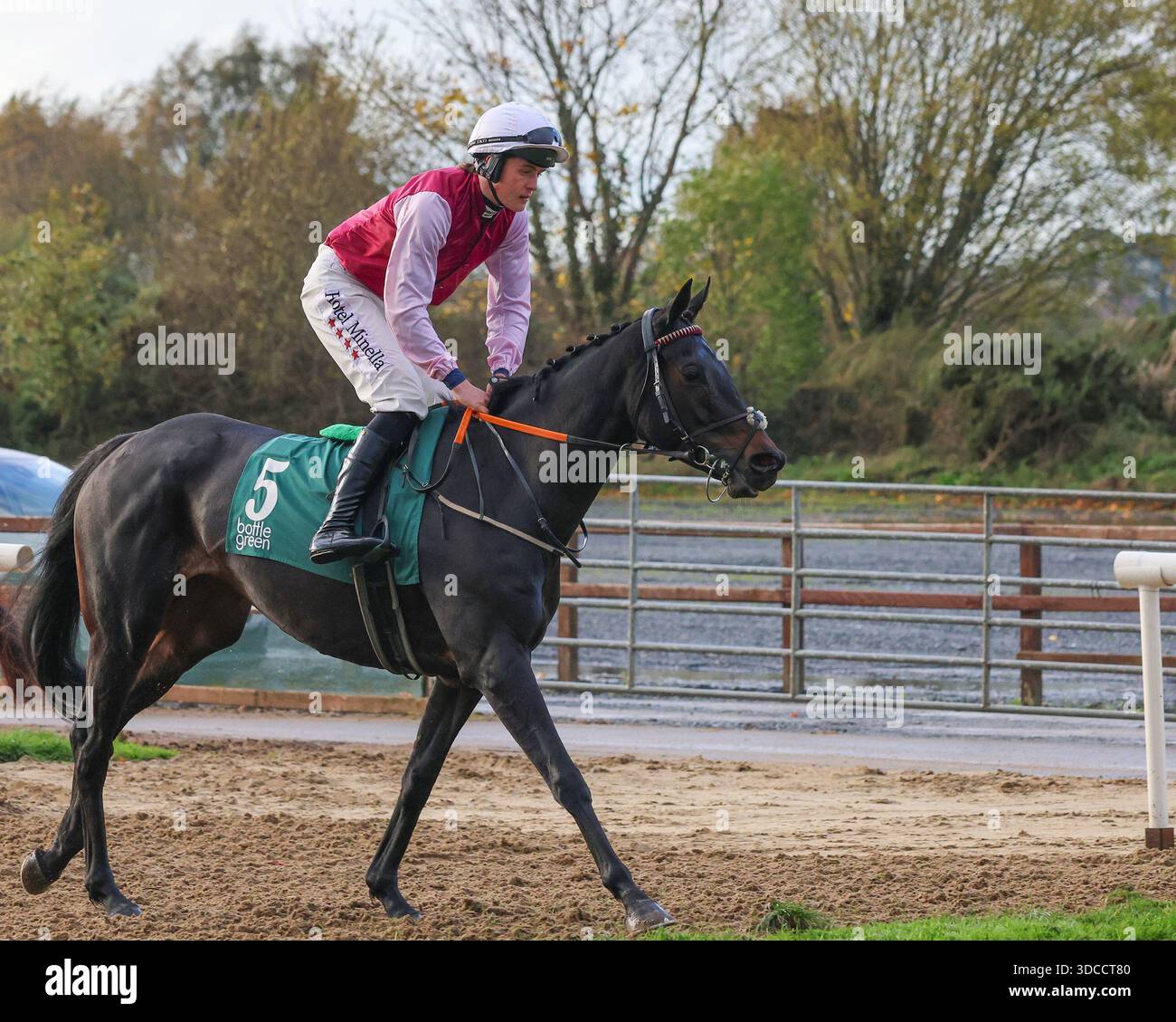 Die Royal Racecourse, Lisburn, Nordirland. 31. Oktober 2025. Das BetVictor Festival of Racing (Tag 1) hat heute begonnen, das Feature-Rennen des Tages war die BottleGreen Hürde (gelistetes Rennen) (4 Jahre+) mit 29.500 € für den Gewinner. Rennpferd Eye of a Tiger (5), geritten von Jockey Daniel King. Stockfoto