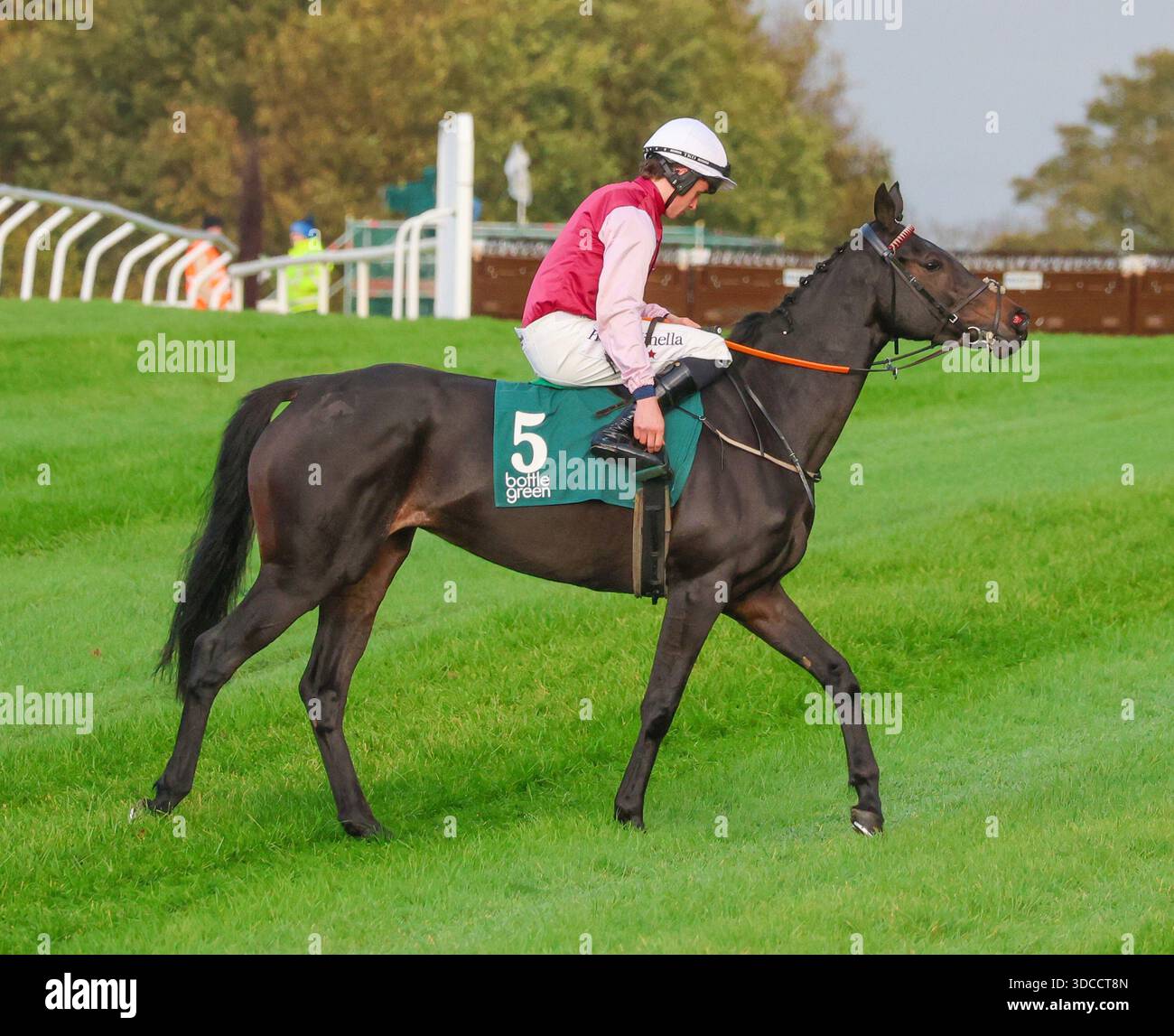 Die Royal Racecourse, Lisburn, Nordirland. 31. Oktober 2025. Das BetVictor Festival of Racing (Tag 1) hat heute begonnen, das Feature-Rennen des Tages war die BottleGreen Hürde (gelistetes Rennen) (4 Jahre+) mit 29.500 € für den Gewinner. Rennpferd Eye of a Tiger (5), geritten von Jockey Daniel King. Stockfoto