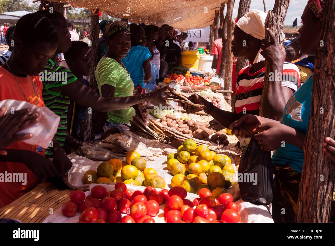 Ein lokaler Markt in Mosambik um 2012 während einer politischen Kampagne oder eines Besuchs. Stockfoto