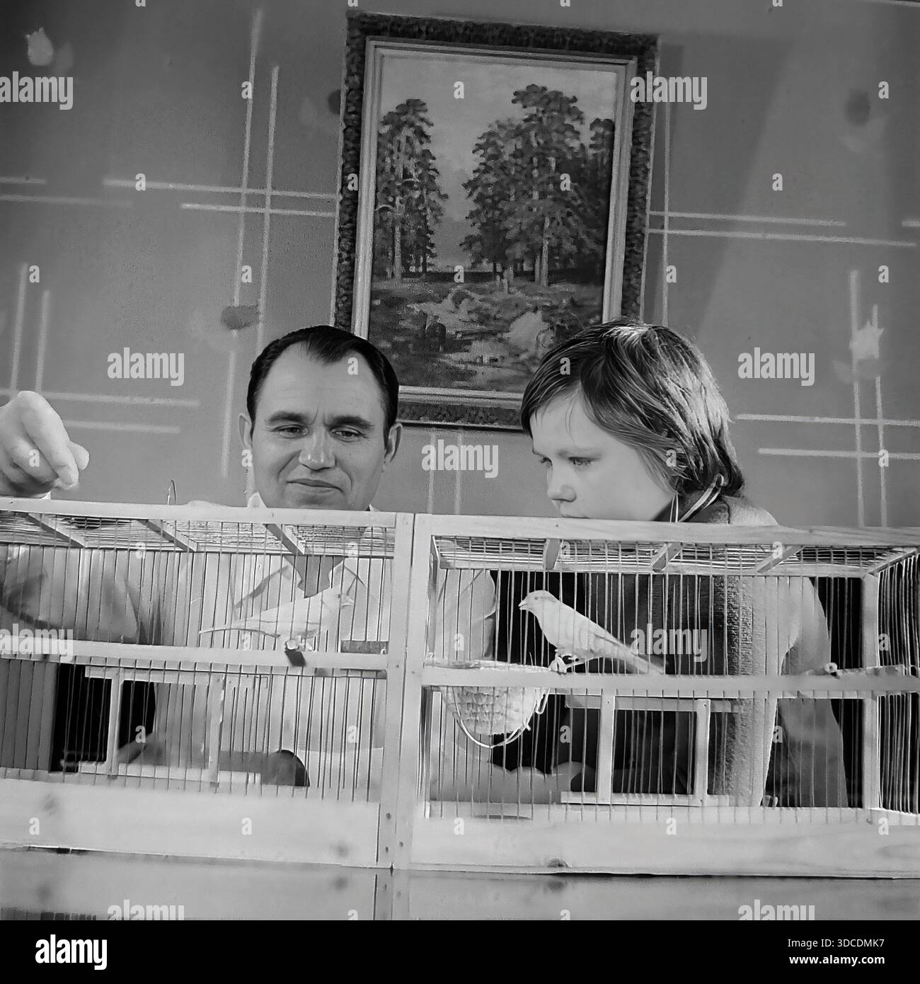 Slawjansk, Ukraine, UdSSR. 1976. Der Stellvertreter Rypalenko, Delegierter des 25. Kongresses der KPdSU, verbringt seine Freizeit bei seinem Sohn zu Hause. Vater und Junge beobachten Singvögel in einem großen Holzkäfig. Der Deputy füttert die Vögel, während das Kind aufmerksam beobachtet. Ein gerahmtes Landschaftsgemälde hängt an der gemusterten Wand. Dieses Archivbild zeigt die ruhigen Hobbys und Familienverbundenheit der sowjetischen Arbeiterelite während der friedlichen Donbass-Ära. Stockfoto
