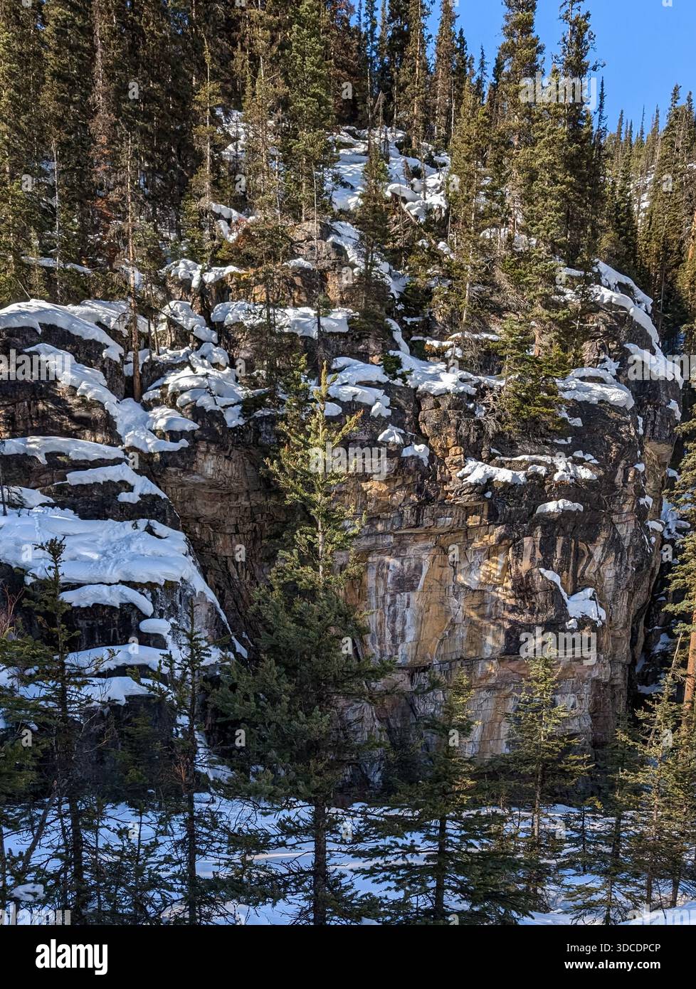 Winter verschneite Felsen mit Tannen - Winter Hintergrund. Naturdetails bei einem Spaziergang in den Bergen - Winteraktivitäten in den Rocky Mountains Stockfoto