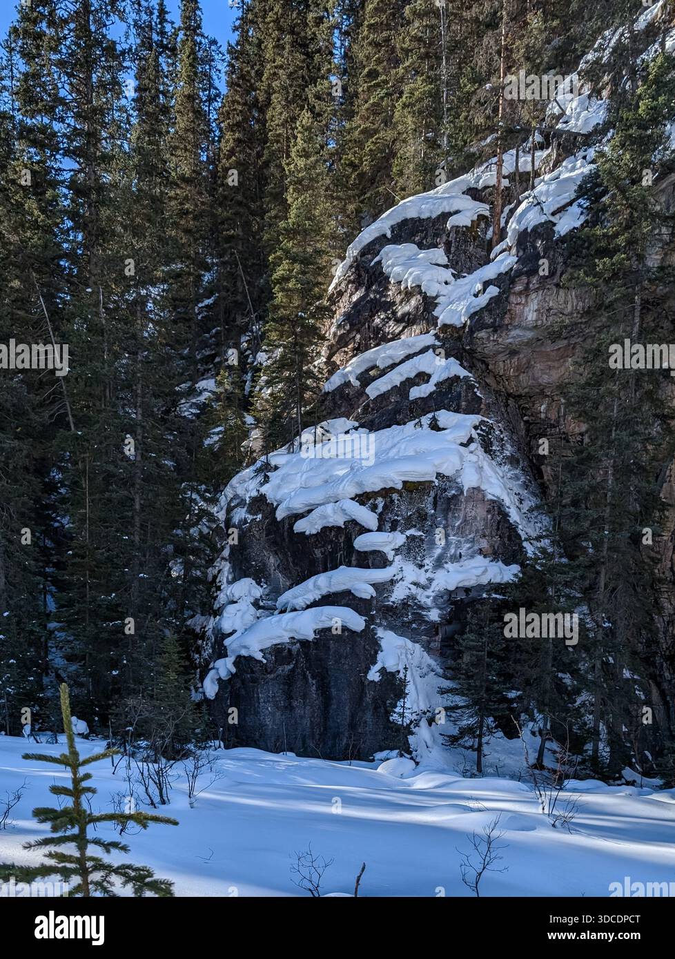 Winter verschneite Felsen mit Tannen - Winter Hintergrund. Naturdetails bei einem Spaziergang in den Bergen - Winteraktivitäten in den Rocky Mountains Stockfoto