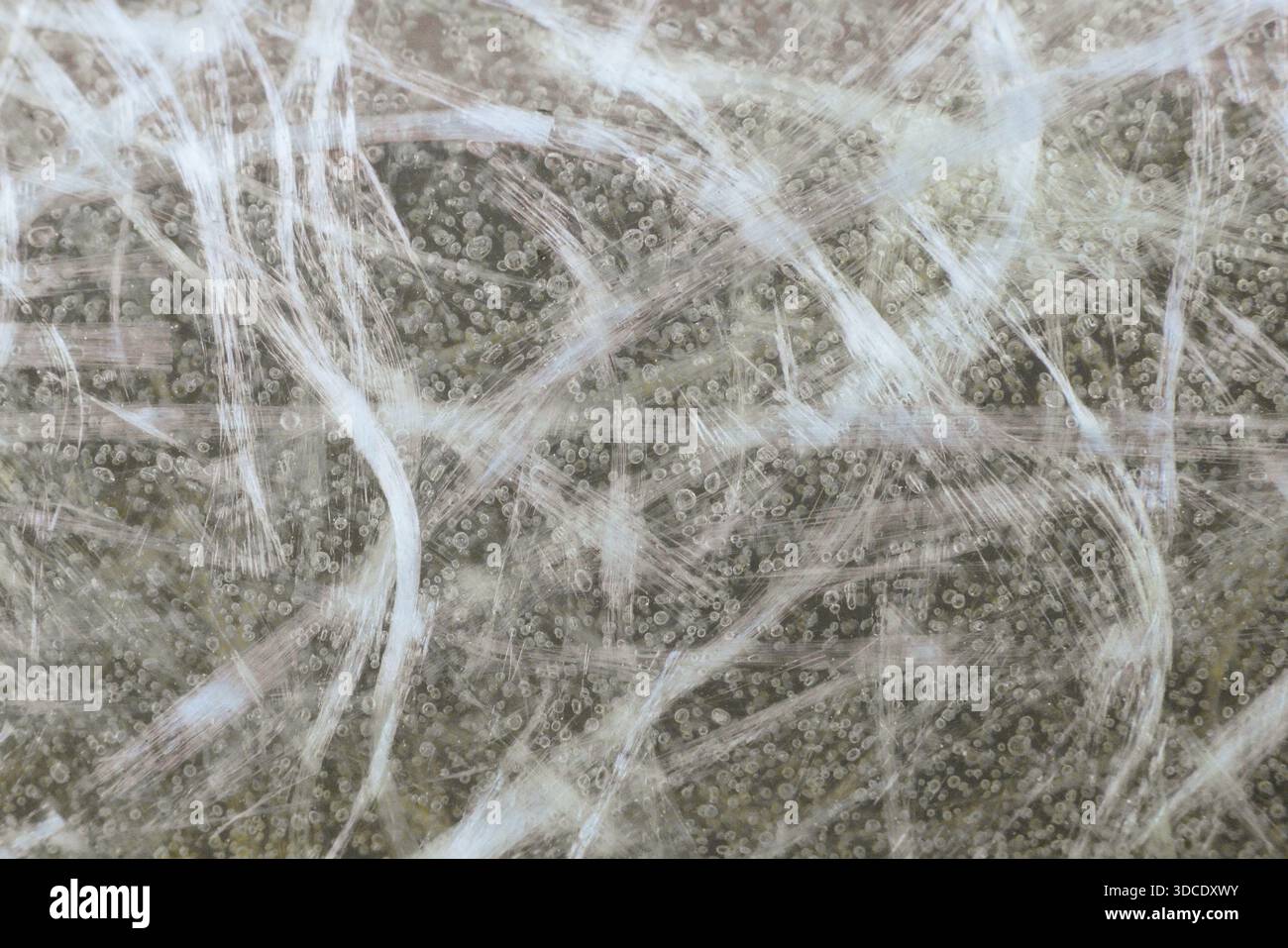 Glasfaserstruktur, glasfaserverstärkter Kunststoff Stockfoto