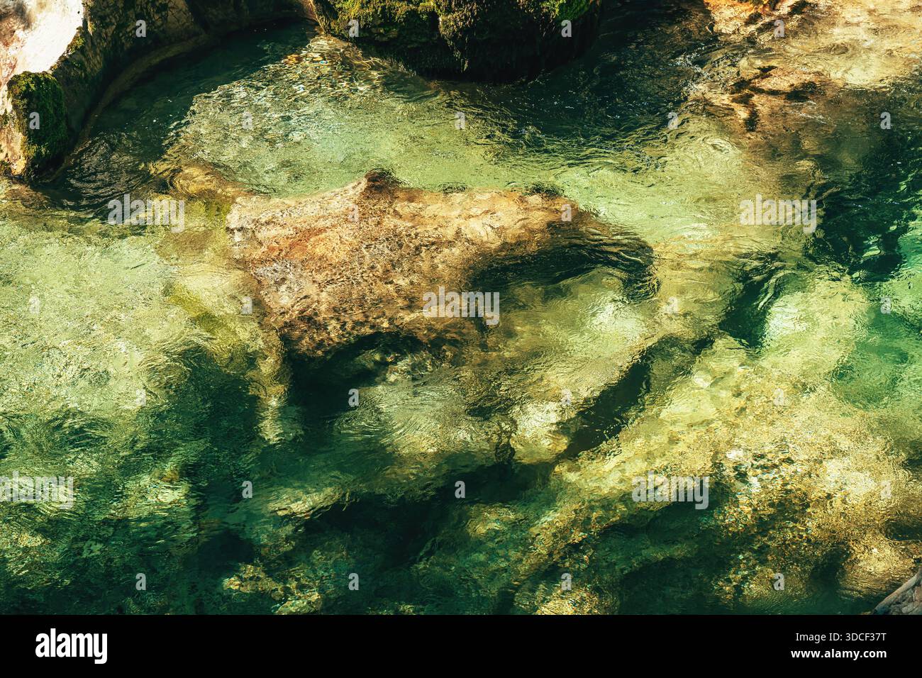 Großer Stein sichtbar am Fuße des klaren Flusses Mostnica in Slowenien. Selektiver Fokus. Stockfoto