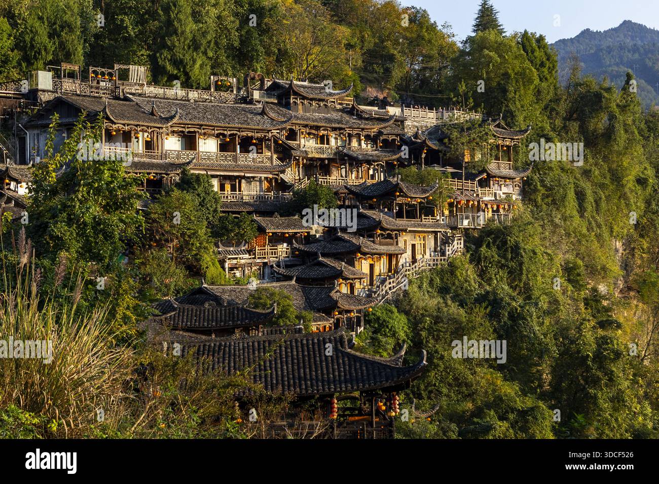 Blick auf alte Holzhäuser mit Ziegeldächern, die die steilen Hänge hinunterstürzen, inmitten von grünen Bäumen, in goldenem Sonnenlicht getaucht, Furong Town, Hunan, Chin Stockfoto