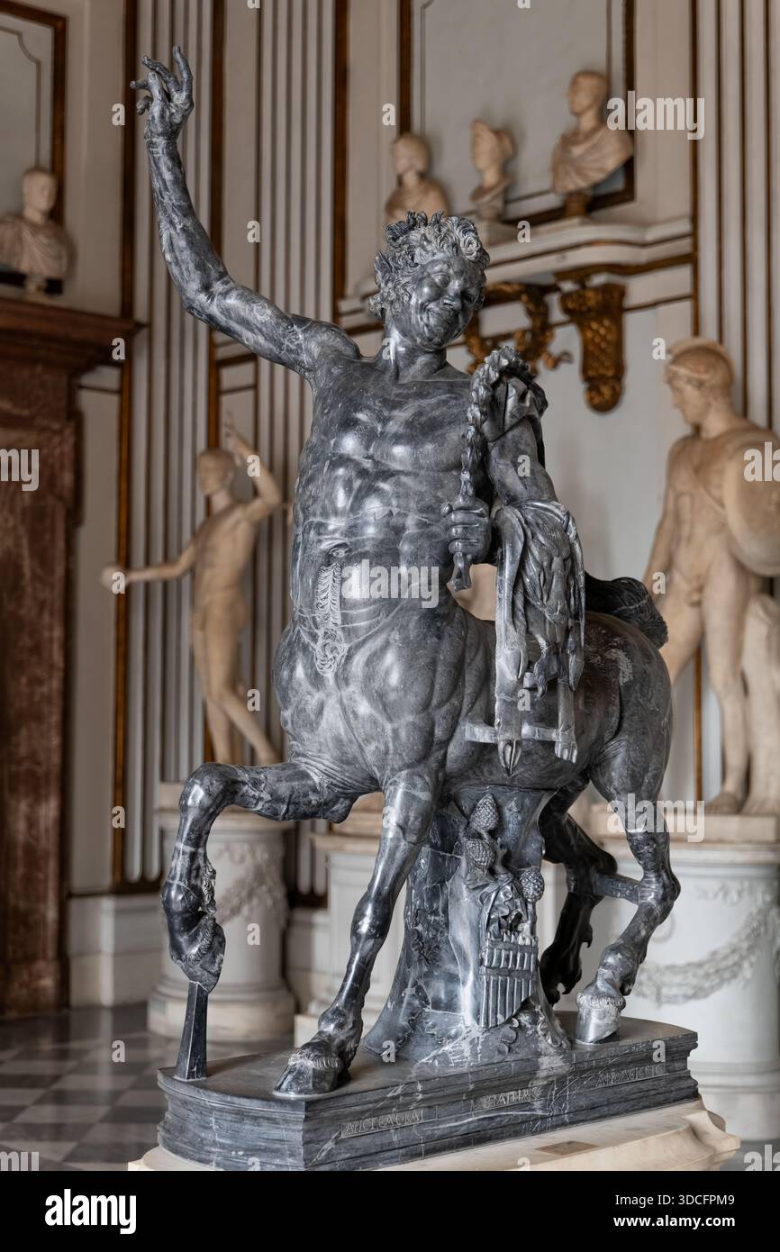 Junger Zentaur mit erhobenem Arm, Statue aus schwarzem Marmor im Inneren des Kapitolinischen Museums (Musei Capitolini), der große Saal im Palazzo Nuovo in Rom, Stockfoto