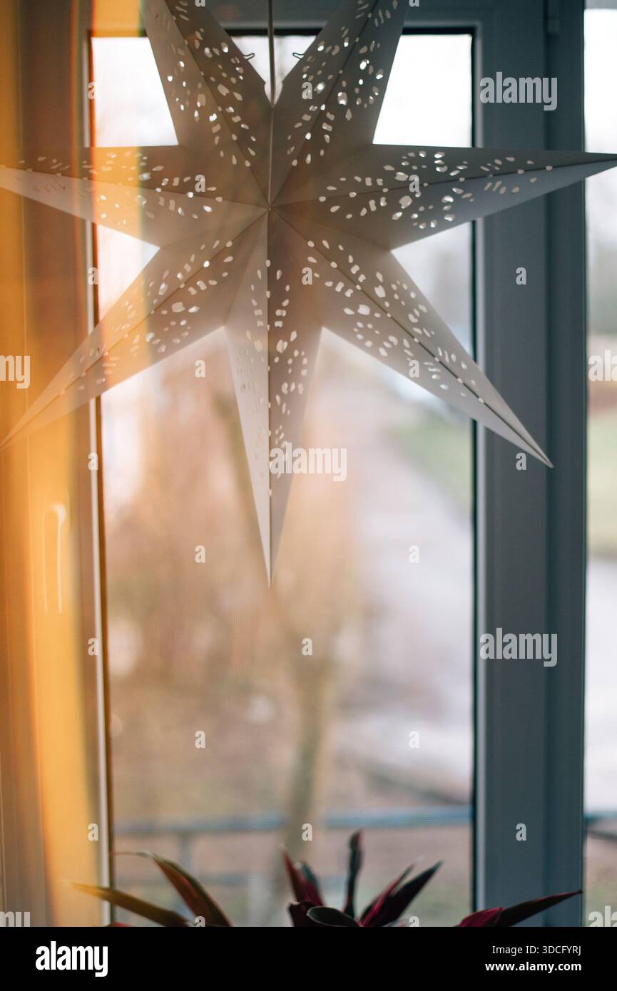 Weihnachtsstern am Fenster Stockfoto