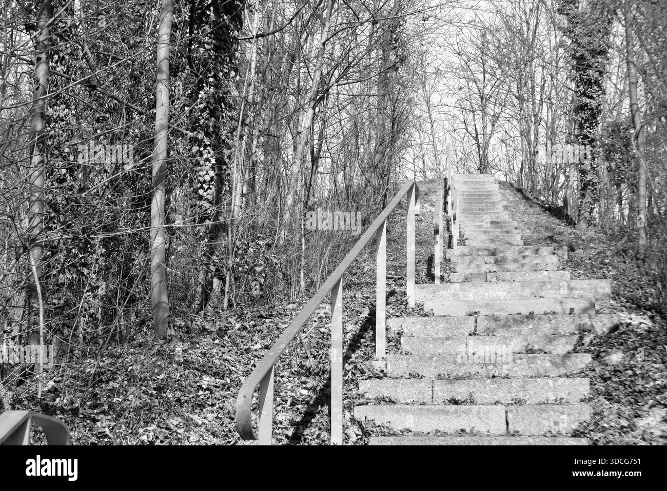 Alte Treppen mit einem Handlauf aus Metall in einem öffentlichen Wald. Stockfoto